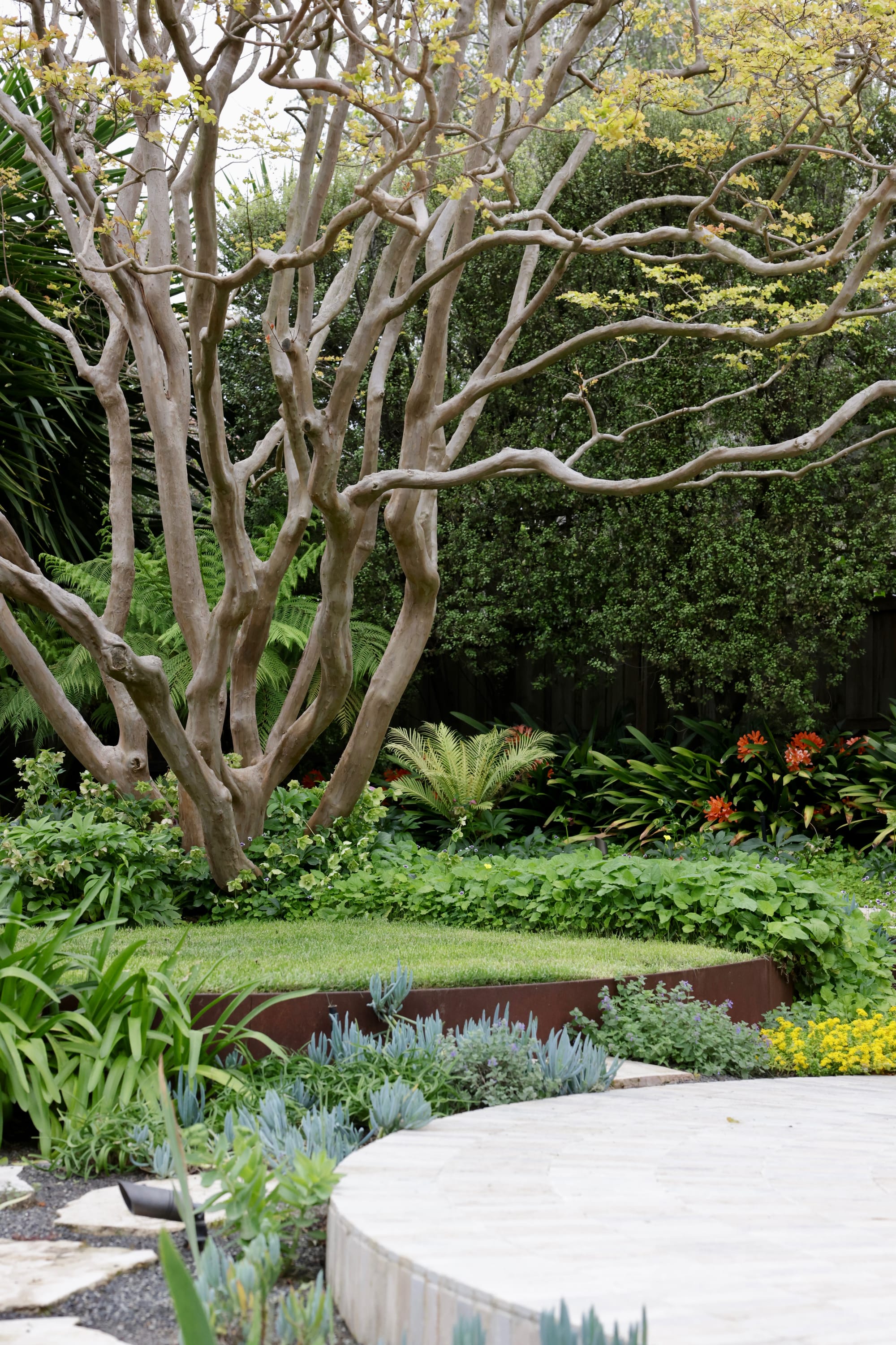 Glen Iris by Julie Crowe Landscape Design x Cosh Living. Photography by&nbsp;Eloise Sim. Round grey paved platform in foreground, with round garden bed framed with rusted metal sheeting in midground. Bare tree surrounded by various ferns and leafy plants. 