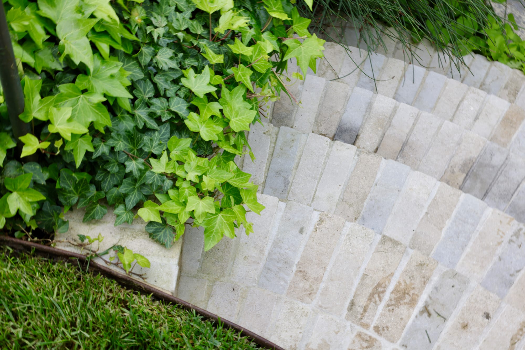 Glen Iris by Julie Crowe Landscape Design x Cosh Living. Photography by&nbsp;Eloise Sim. Overhead shot of limestone steps paved in radial arrangement, with creeping vine plant on the left.  