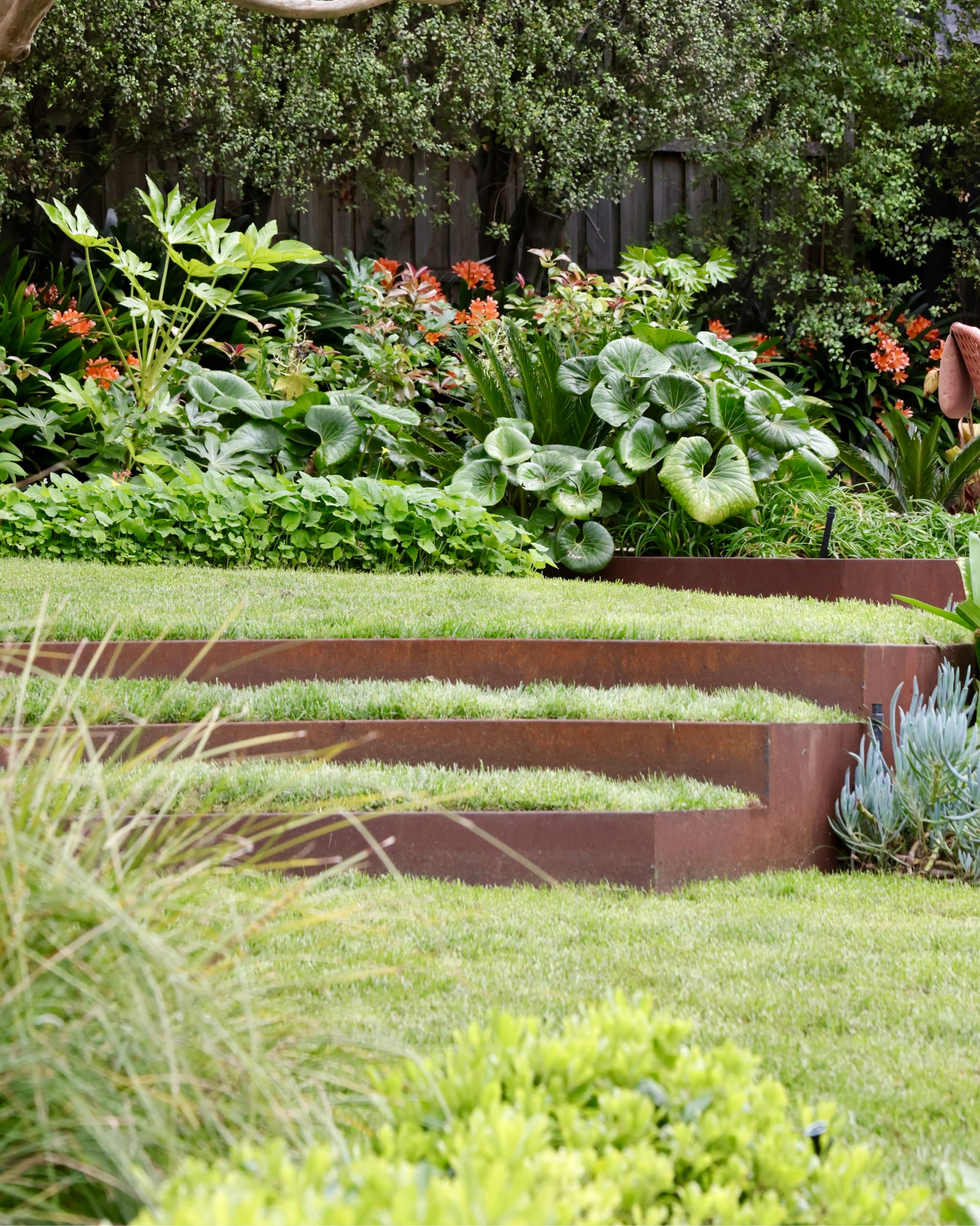 Glen Iris by Julie Crowe Landscape Design x Cosh Living. Photography by&nbsp;Eloise Sim. Close up low angle of grassed steps encased by rusted metal sheeting, with black timber fence and layered garden beds in background. 