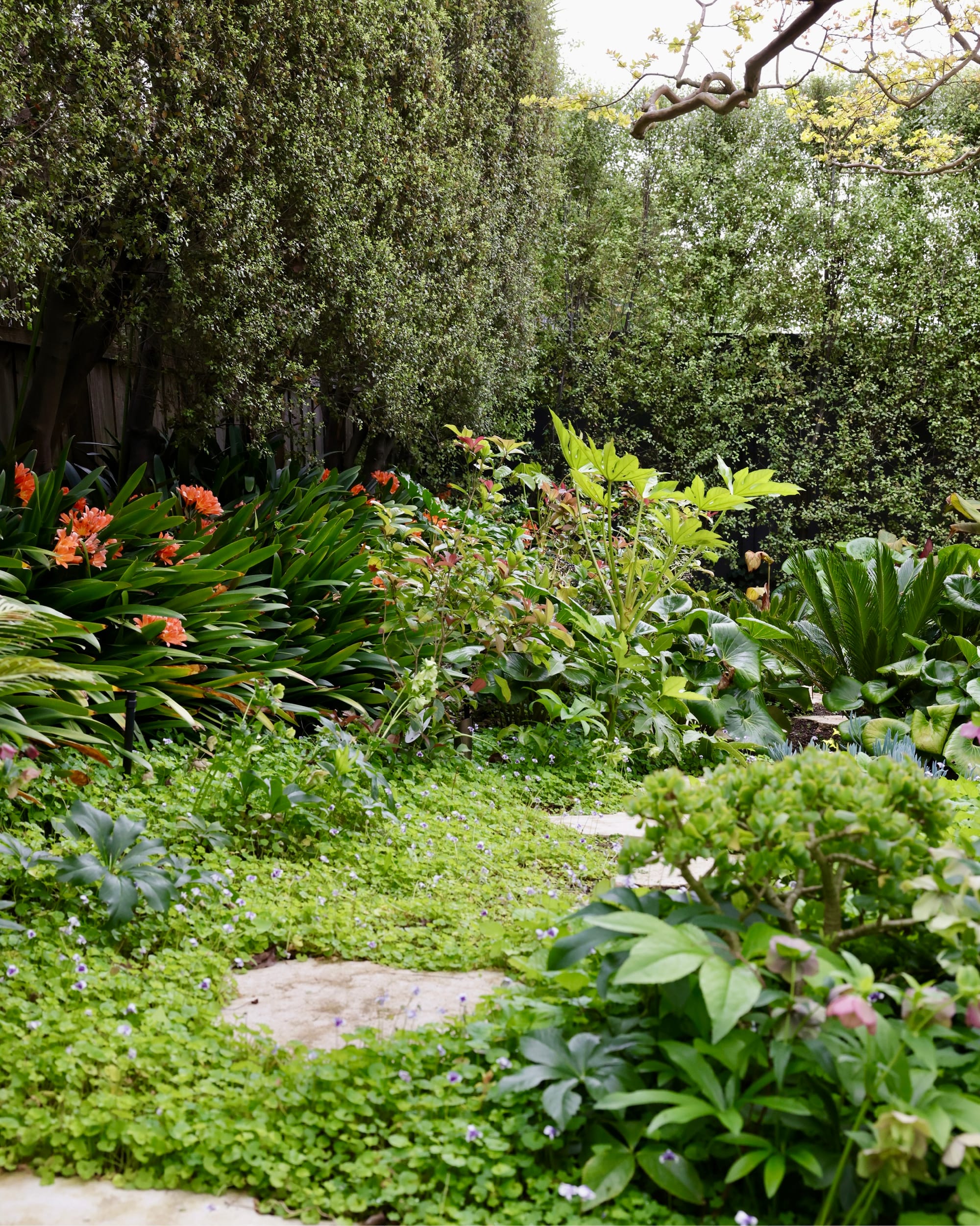 Glen Iris by Julie Crowe Landscape Design x Cosh Living. Photography by&nbsp;Eloise Sim. Rough pavers in green ground cover, surrounded by various plants of various heights and shades in outdoor garden. 