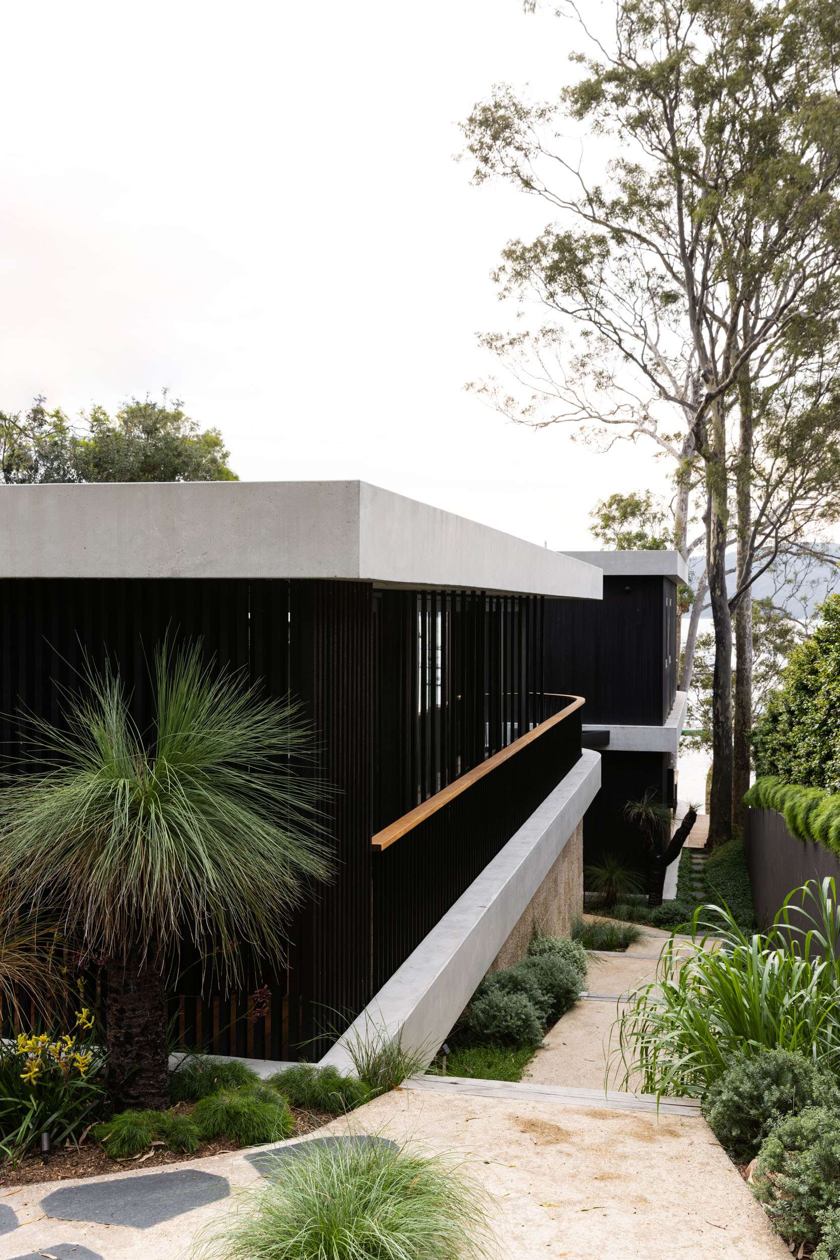 Ripple House by Marker Architecture. Photography by Simon Whitbread. Side facade of multistory, contemporary home with crushed limestone pathways, black timber accent screening and native Australian plants.