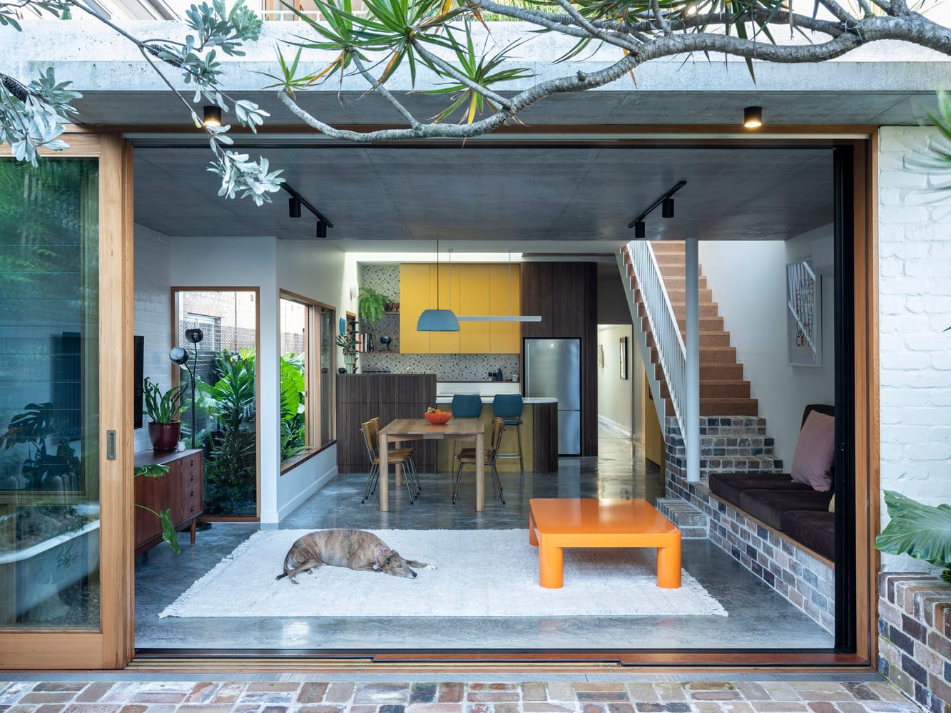HUG HOUSE by FIGR Architecture Studio. Photography by Tom Blachford. Stepped open plan kitchen and dining space with polished concrete floors.