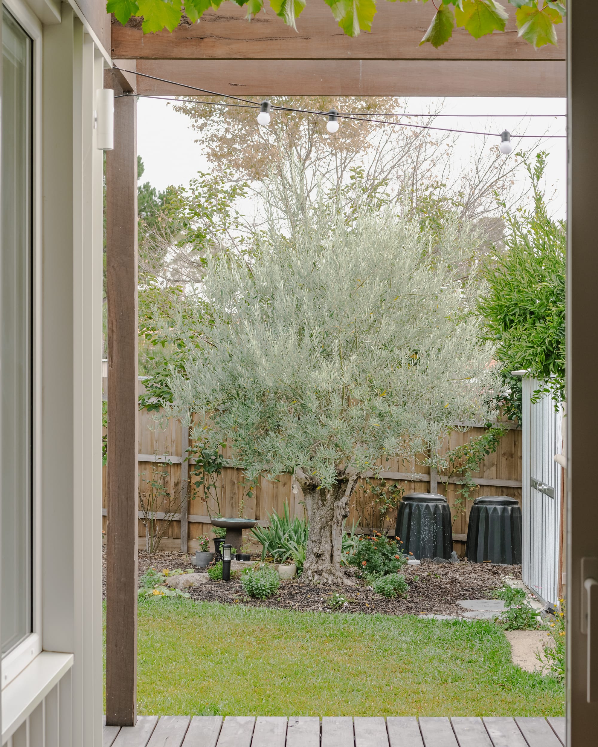 House in Preston by Ashley O'Neill Architects. Photography by Victor Vieaux. View from covered timber porch out onto rear garden, with grass, large tree, timber picket fencing, black compost bins and a bird bath. 