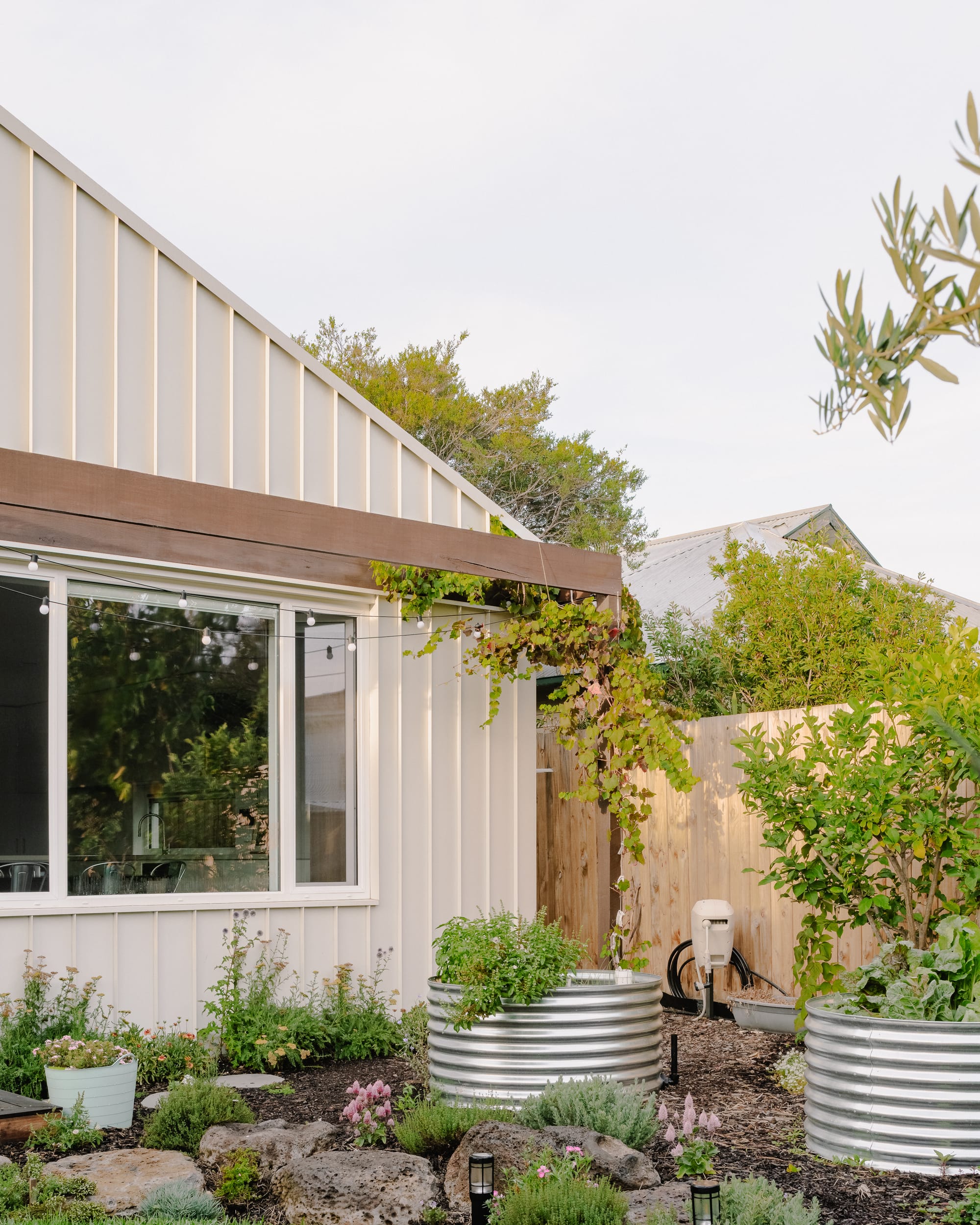 House in Preston by Ashley O'Neill Architects. Photography by Victor Vieaux. Rear garden of home with round tin garden beds, rocks, pink flowers, trees, and vines growing from a timber pergola positioned over a window on rear, metal-clad wall. 