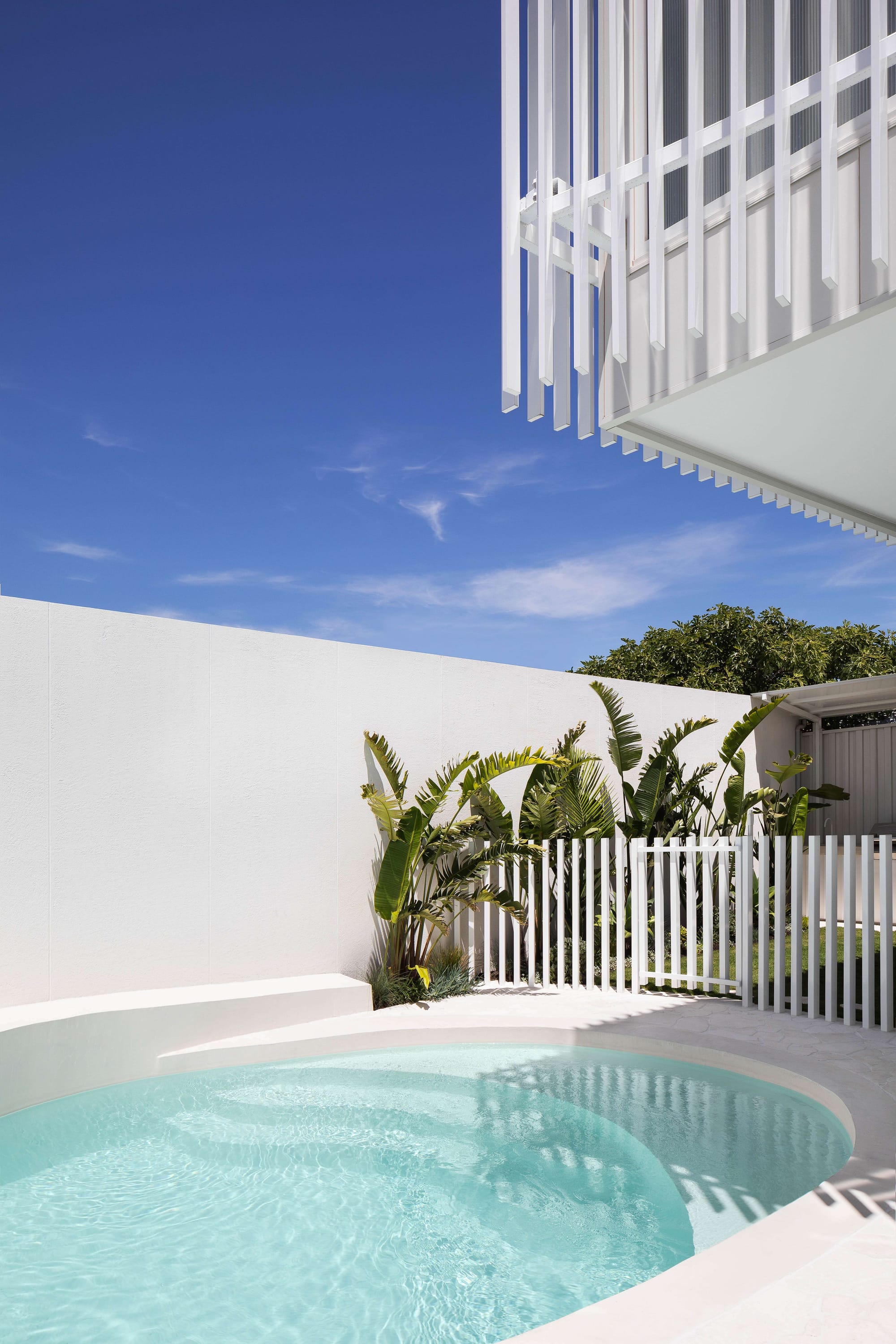 Alba House by Taouk Architects. Photography by Emily Bartlett. Curved inground pool with white floor riles, white metal fence, grassed backyard in background and white rendered containing walls.