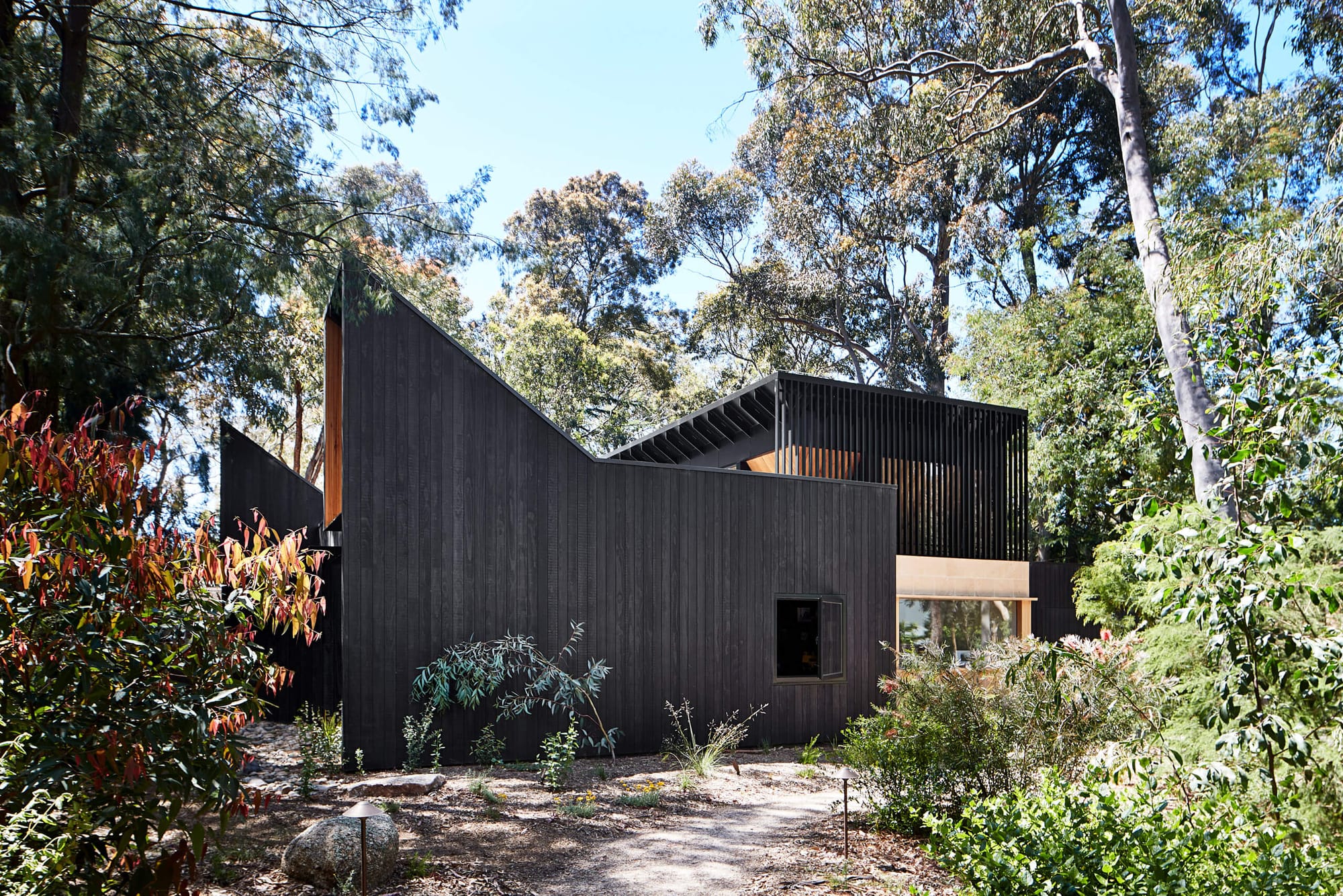 Bellbird House by Bower Architecture & Interiors. Photography by Shannon McGrath.Angular black timber-clad house nestled in native bushland with bold rooflines and vertical slatted upper facade.