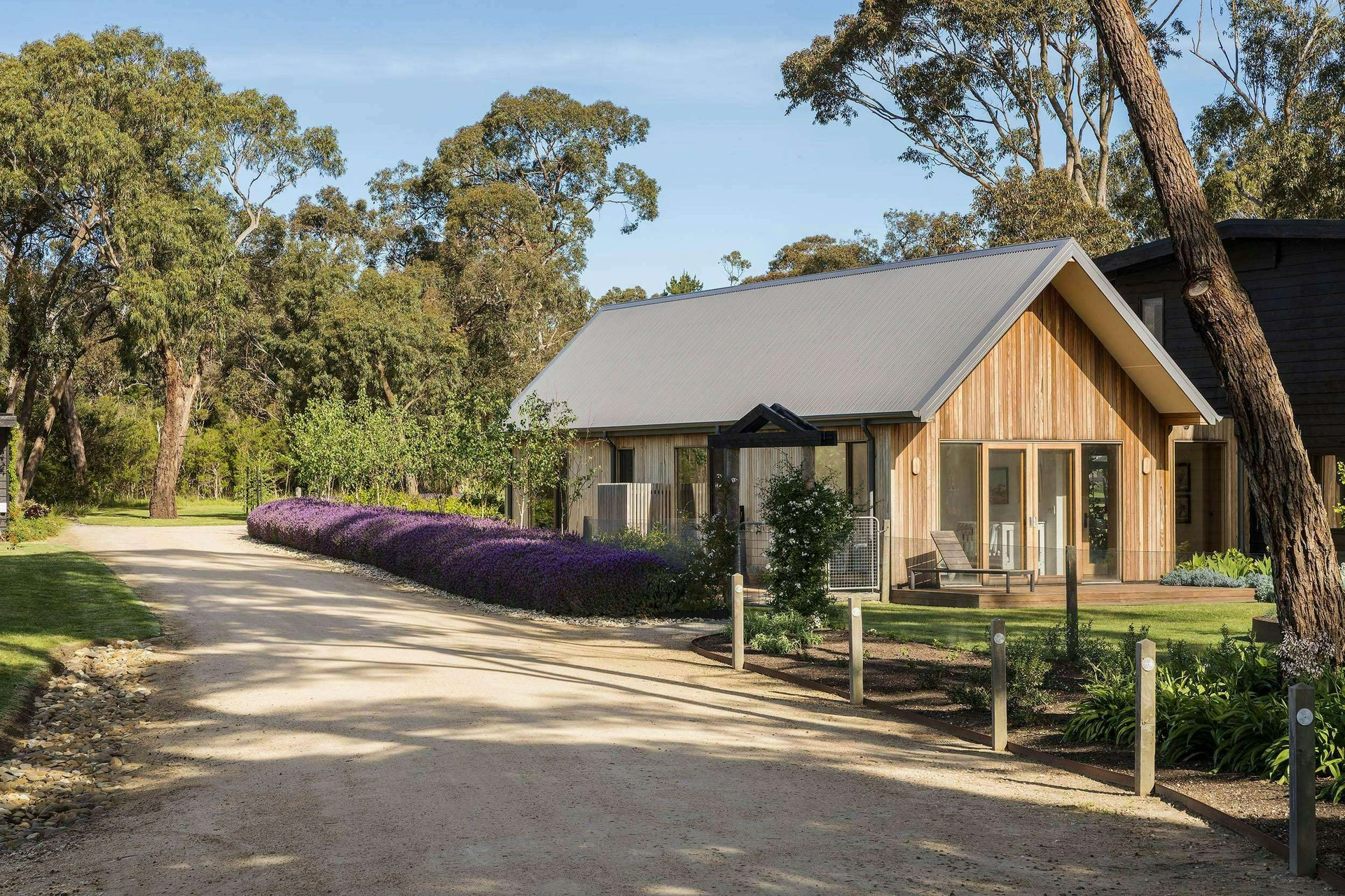 Moorooduc Farm by Merrylees Architecture. Photography by Mitch Lyons. Timber farmhouse with gravel driveway and purple flowered hedge. 