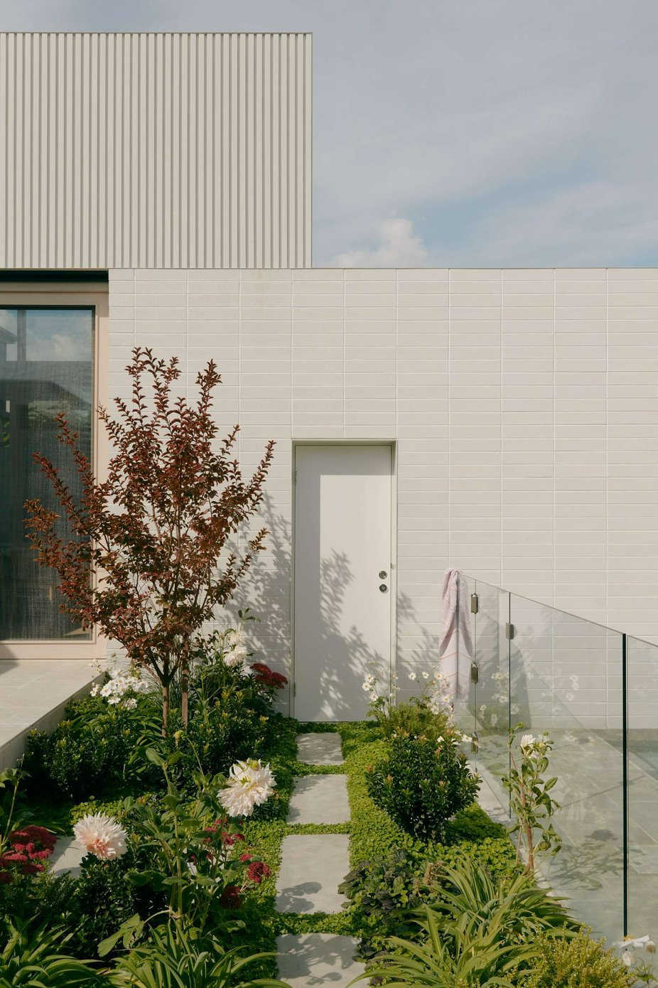 Wheatland House by Tom Roberston Architects. Photography by Tom Ross. Footpath running alongside glass fence to white door with colourful garden. 