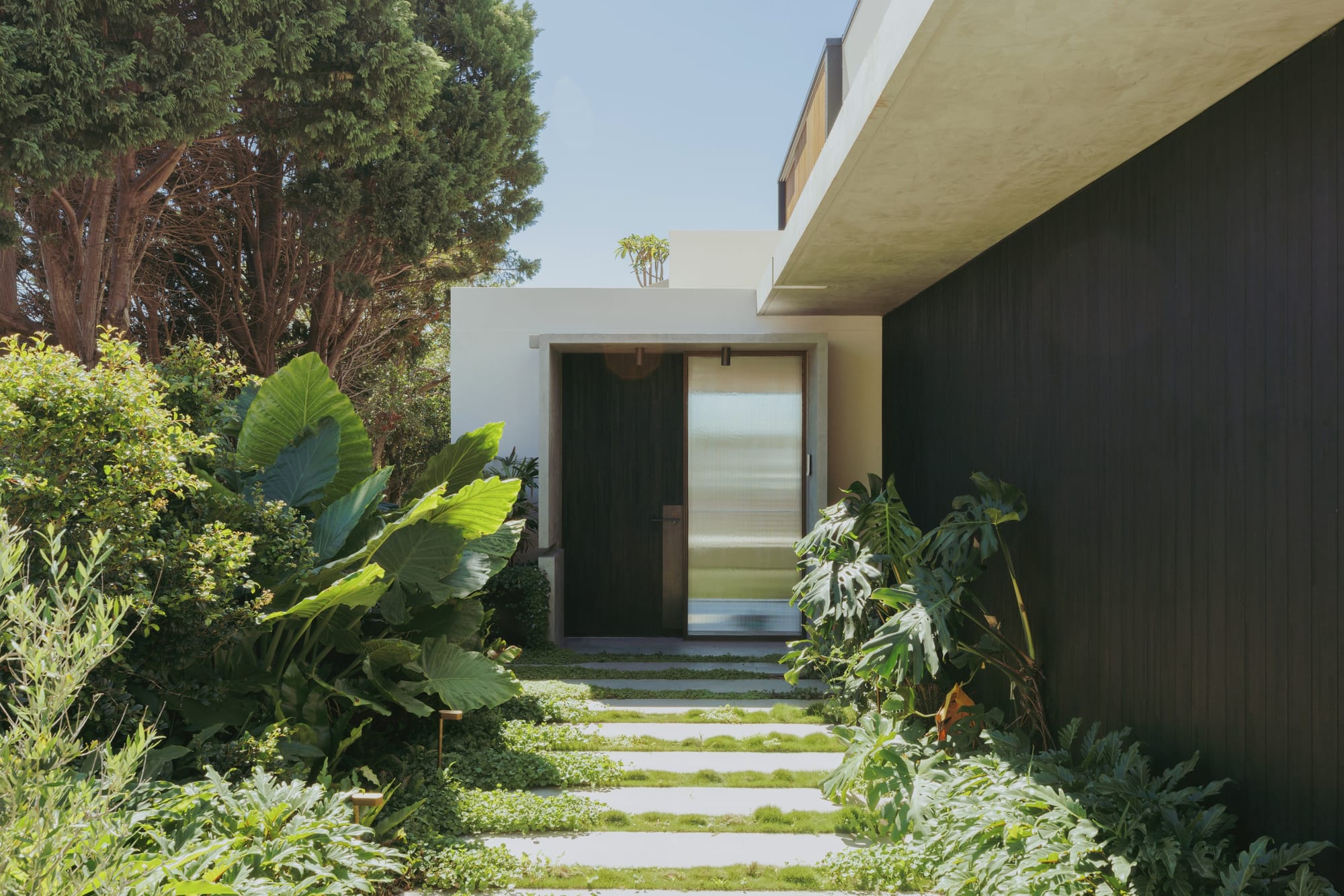 Little Birch by buck&simple. Photography by Tim Pascoe. Entrance to home with chrome accent, dark timber door and timber clad walls and concrete pavers in lush garden.