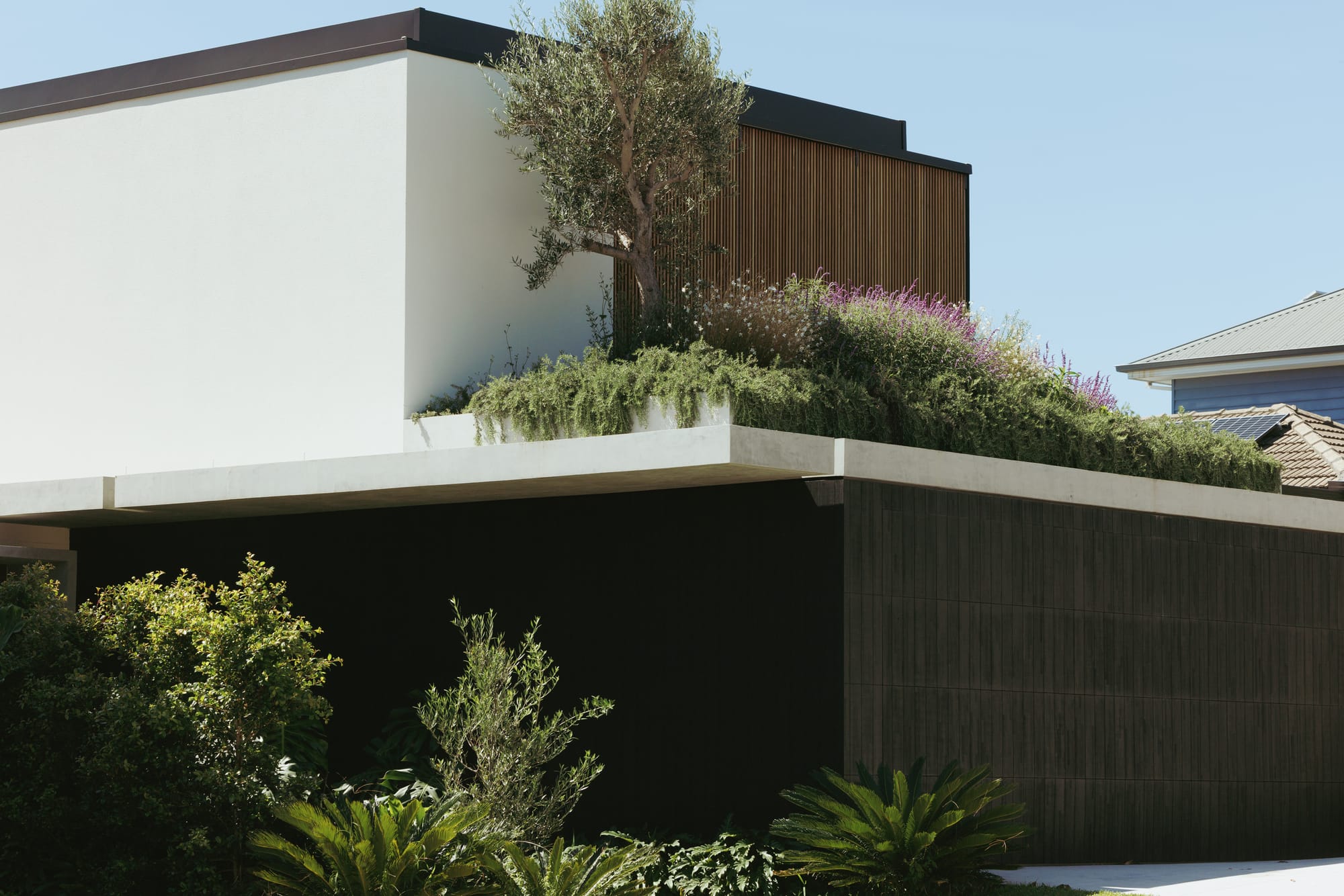 Little Birch by buck&simple. Photography by Tim Pascoe. Facade of home with dark timber exterior, white walls on second floor and gardens on ground floor and first floor rooftop.
