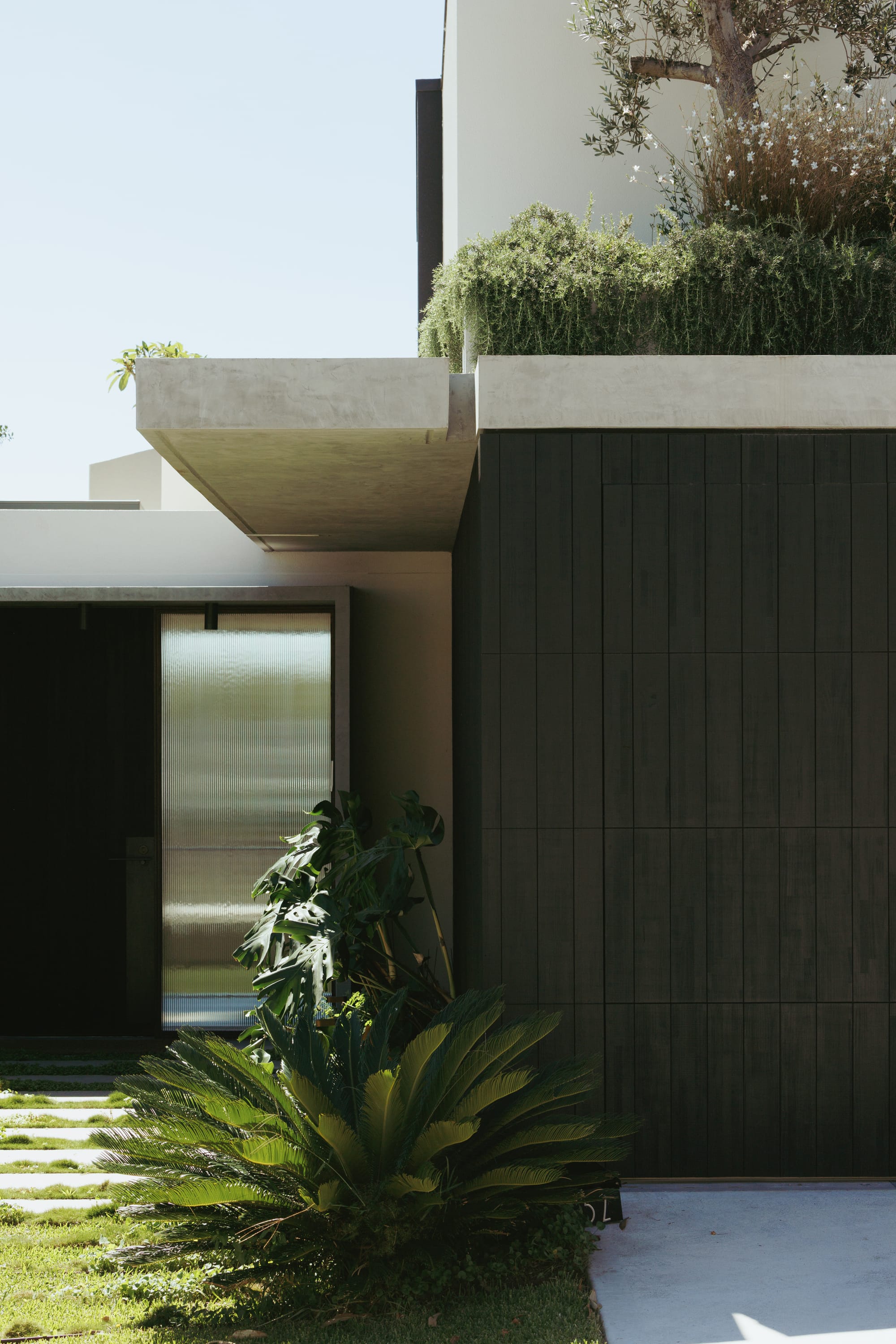 Little Birch by buck&simple. Photography by Tim Pascoe. Facade of double story home with dark timber clad walls, concrete accents, fluted glass and lush green gardens.