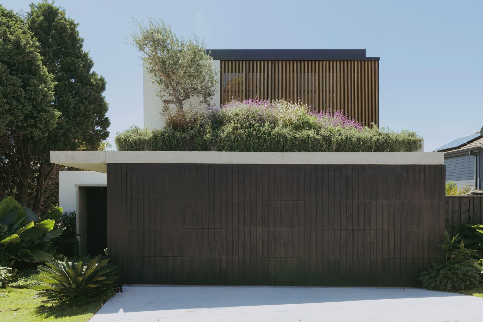 Little Birch by buck&simple. Photography by Tim Pascoe. Facade of home with dark timber walls, concrete driveway, rooftop garden and timber clad second floor.