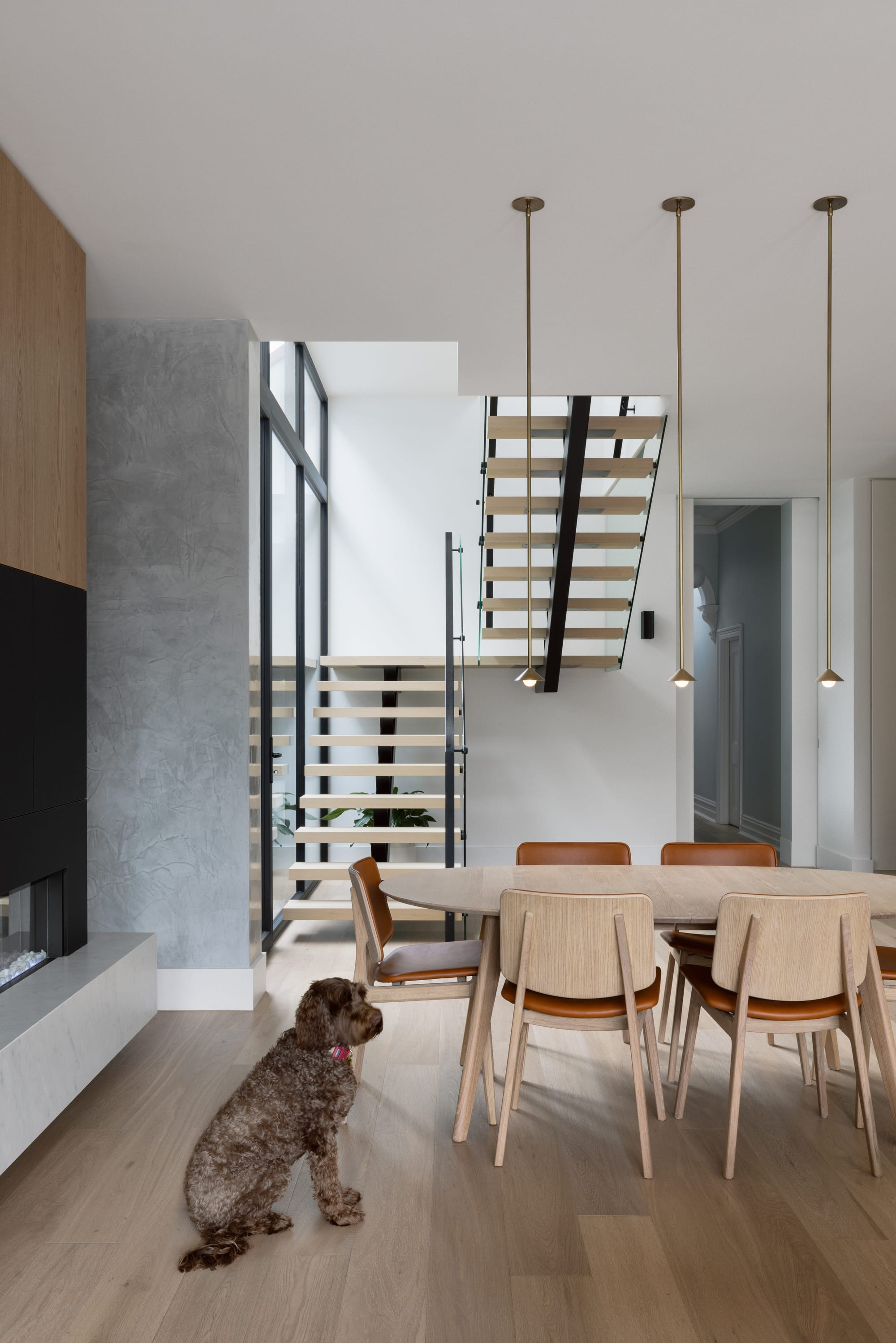 Auburn Residence by Chan Architecture. Photography by Elise Scott. Brown dog sits in open plan dining space with timber dining set, glass and timber staircase in background and timber flooring throughout. 