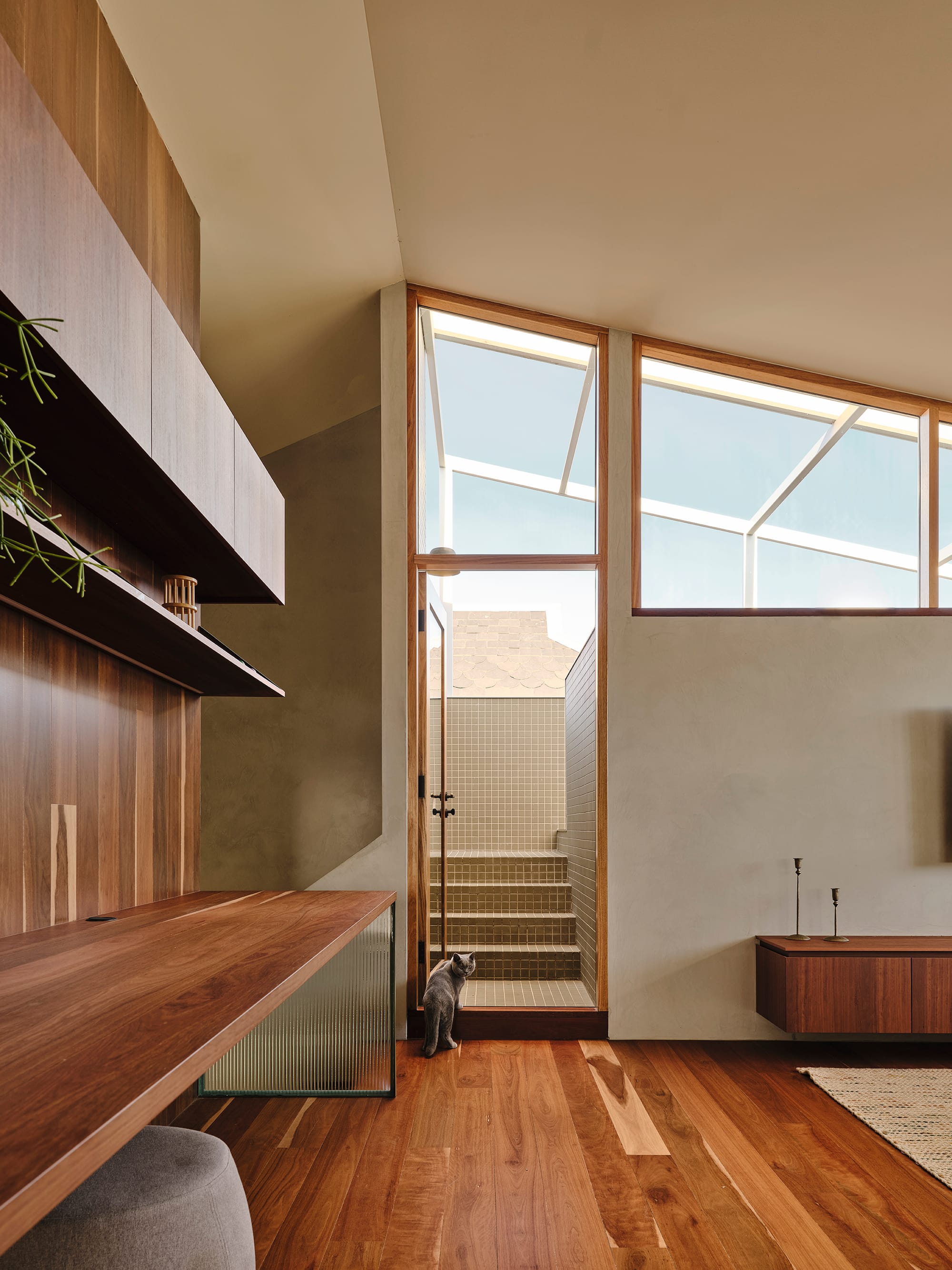 Salmon House by True Story. Photography by Dean Bradley.Home office with timber desk, fluted glass leg, and a cat at the door leading to tiled outdoor steps.
