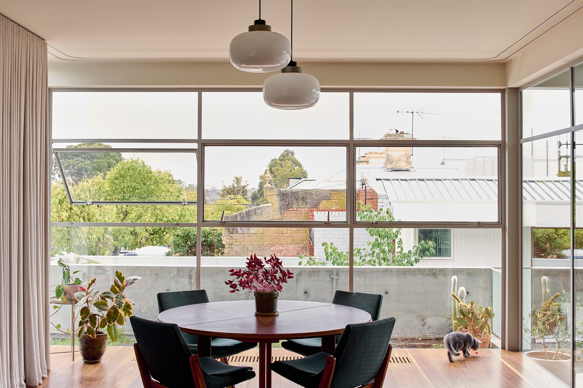 Salmon House by True Story. Photography by Dean Bradley.Bright dining nook with a round timber table, black chairs, and large grid-framed windows overlooking a leafy urban view, with a cat playing near cacti.