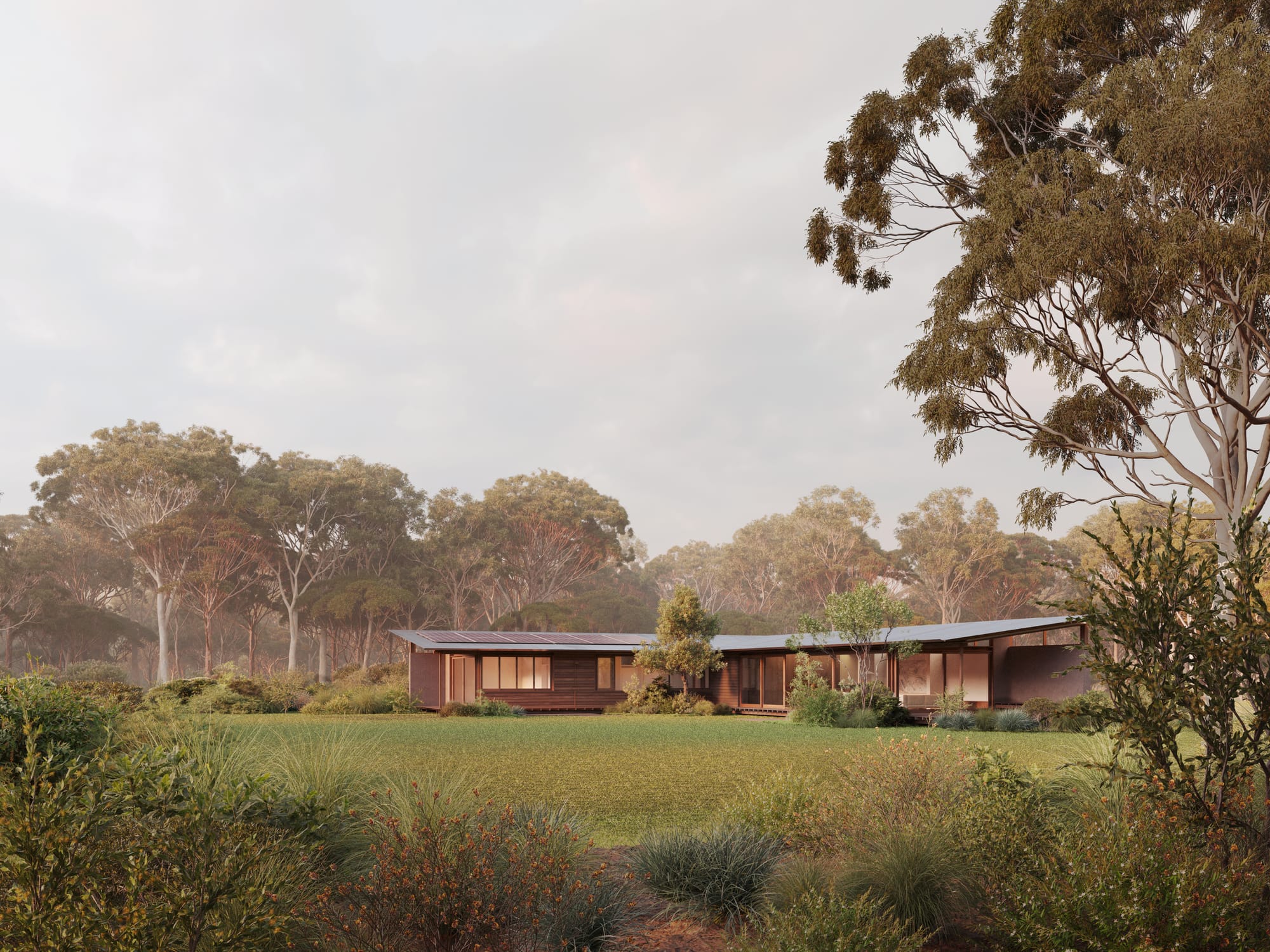 Corymbia by SAHA and Otetto. Render by CHOIRENDER. Pavillion style home with timber clad exterior in green grassy field. 