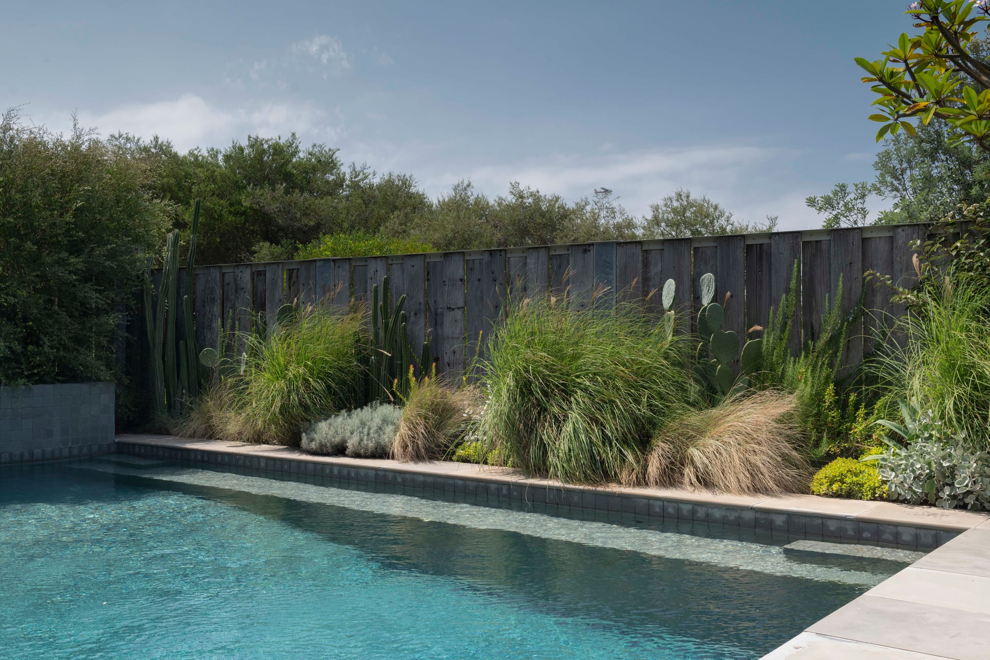 Stone House by Secret Gardens. Detail of the pool edge with tall grasses, cactus and coastal planting against a timber backdrop.