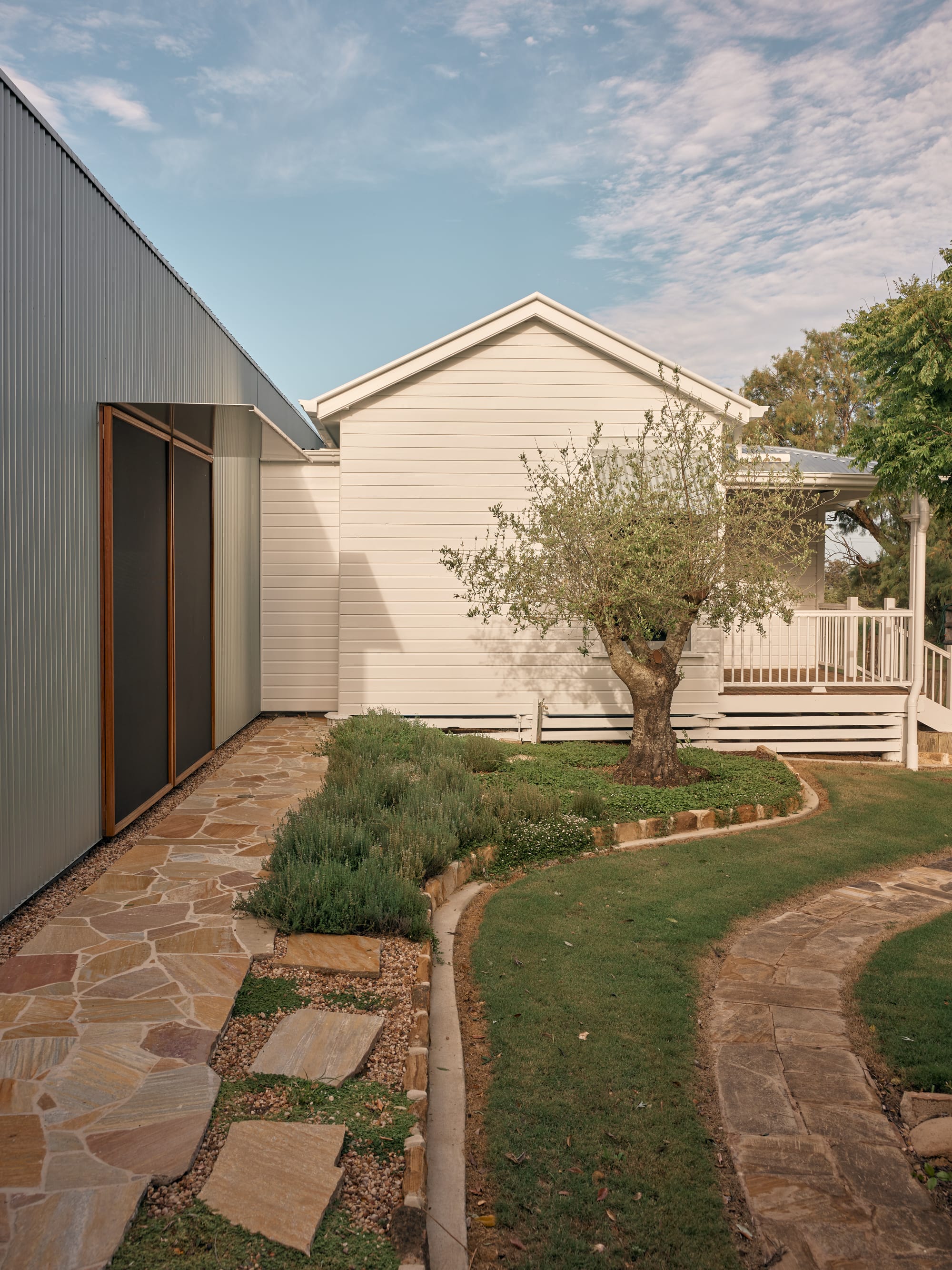 Binnum Homestead by Alexandra Buchanan Architecture. Photography by Cieran Murphy. White timber-clad A-frame building behind garden with paver footpath and patio. 