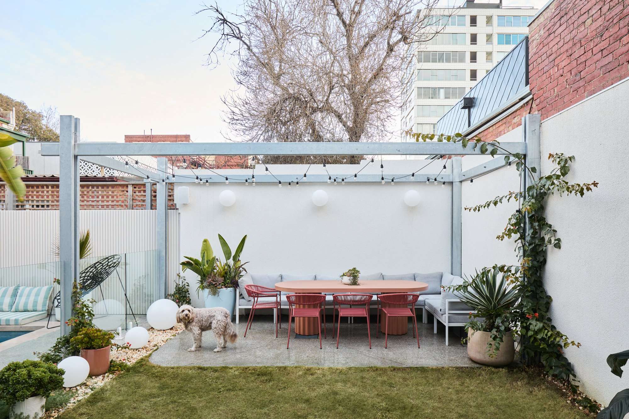 Park St by SGKS ARCH. Photography by Tania Lee. Backyard with pale blue pergola on paved area in front of grass, with pink dining setting. 