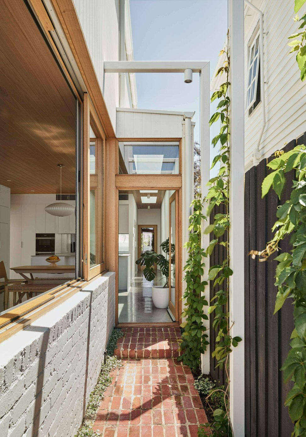 Rosie by Eckersley Architects. Photography by Tess Kelly. Exterior walkway with brick pavers and vines, running alongside white brick home with large timber0framed windows, towards a timber-framed glass door.