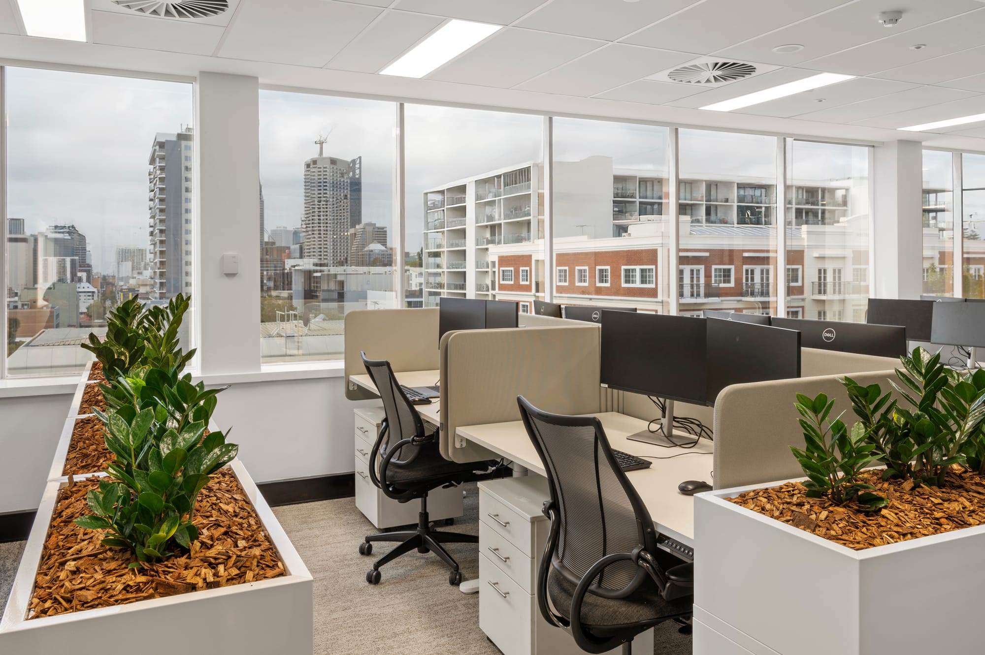 MDA National by Saru Design. Photography by Pete Battye. Office space with glass windows overlooking city views, desk chairs at white desk booths and plant dividers. 