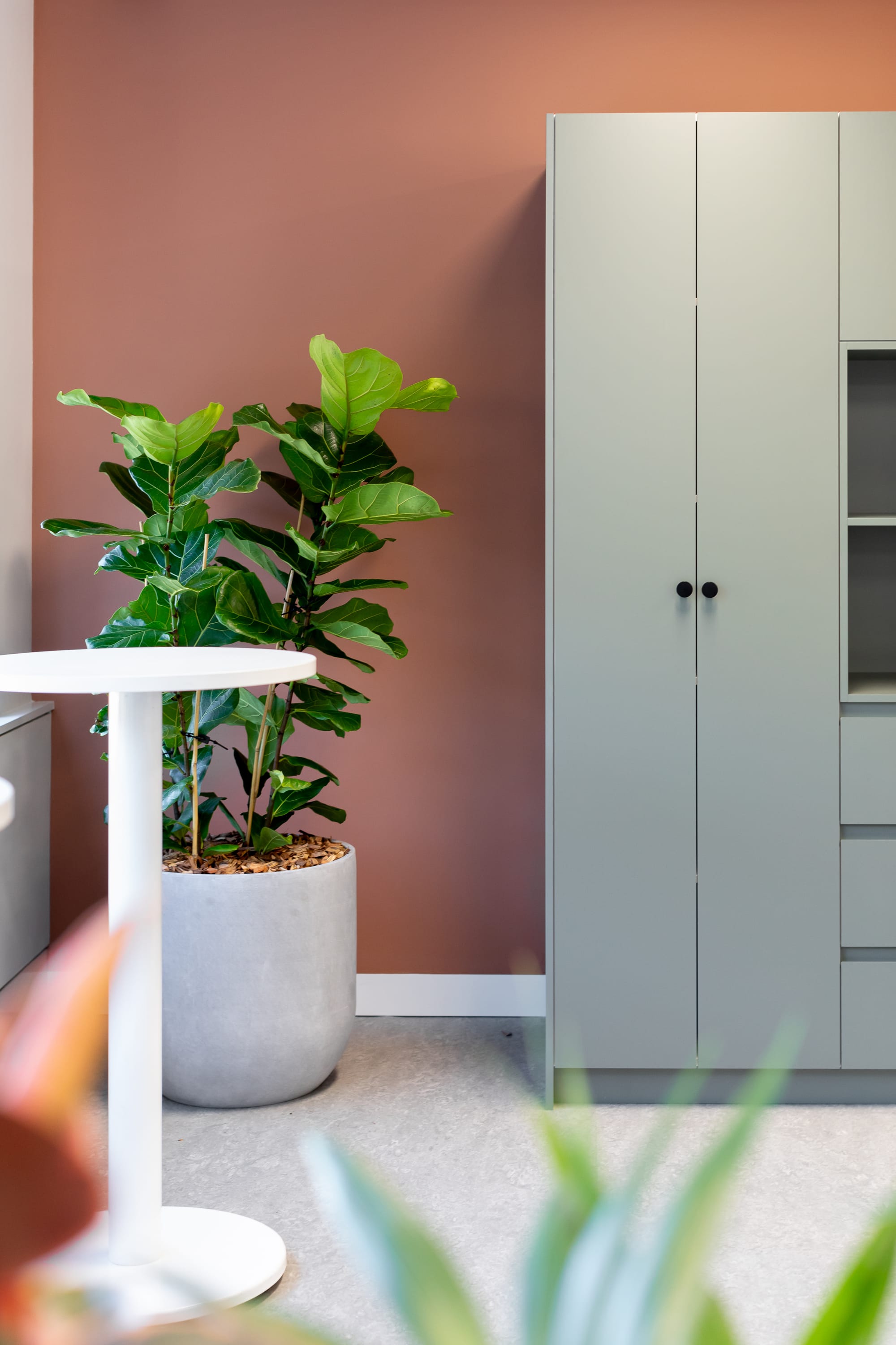 MDA National by Saru Design. Photography by Pete Battye. Office space with concrete-look linoleum flooring, sage green cabinetry, a white bar table, terracotta walls and a large pot plant. 