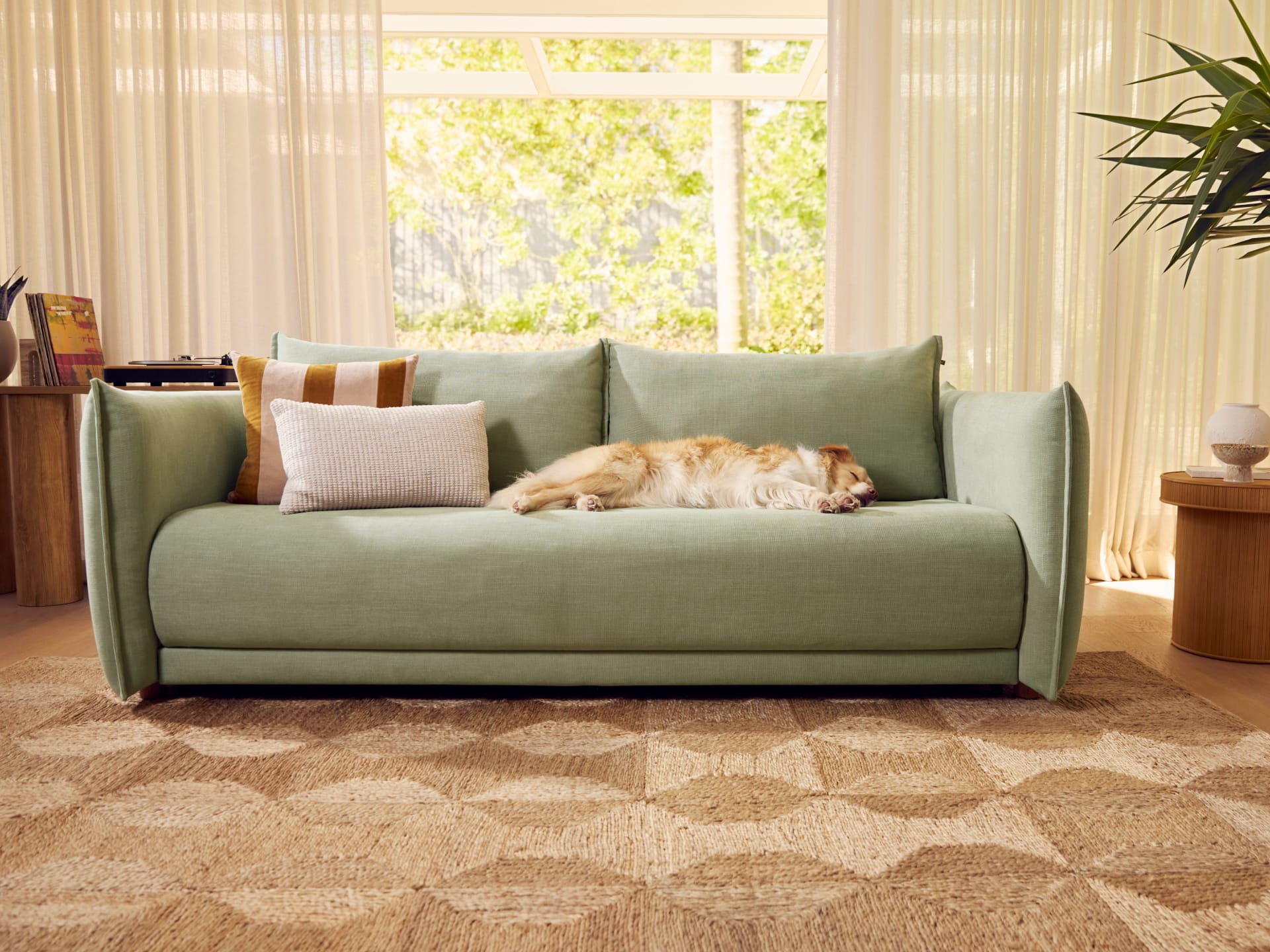 Koala Byron Sofa Bed [3rd Gen] in Cool Cactus. Light sage green couch with dog sleeping on it, in room with full height windows overlooking garden, white sheers and patterned jute floor rug. 