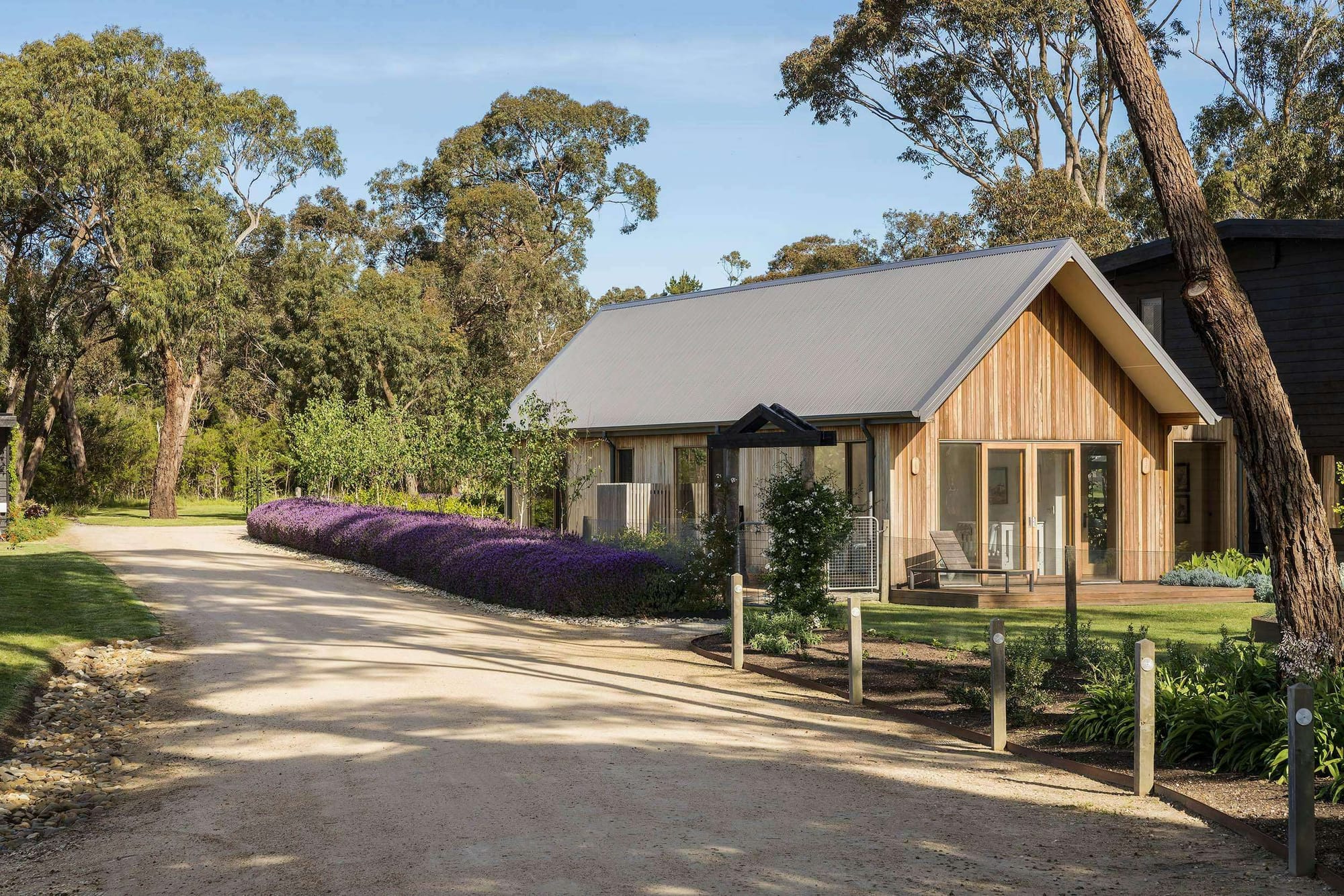 Mooroorduc Farm by Merrylees Architecture. Photography by Mitch Lyons. Simple timber clad pitched roof structure with dense lavender bush to the left, grassed backyard to the left and light gravel driveway. 