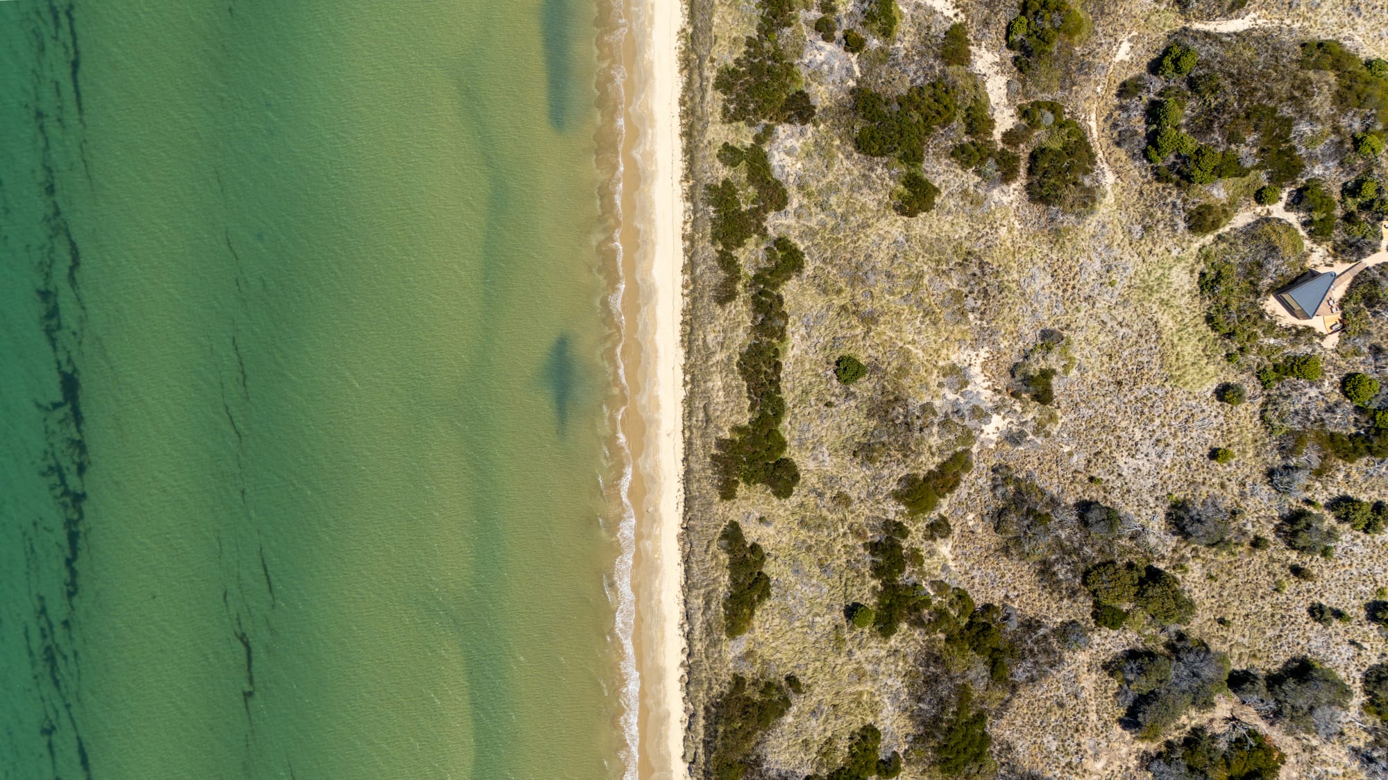 A birds eye view of the coastline and the cabins location.