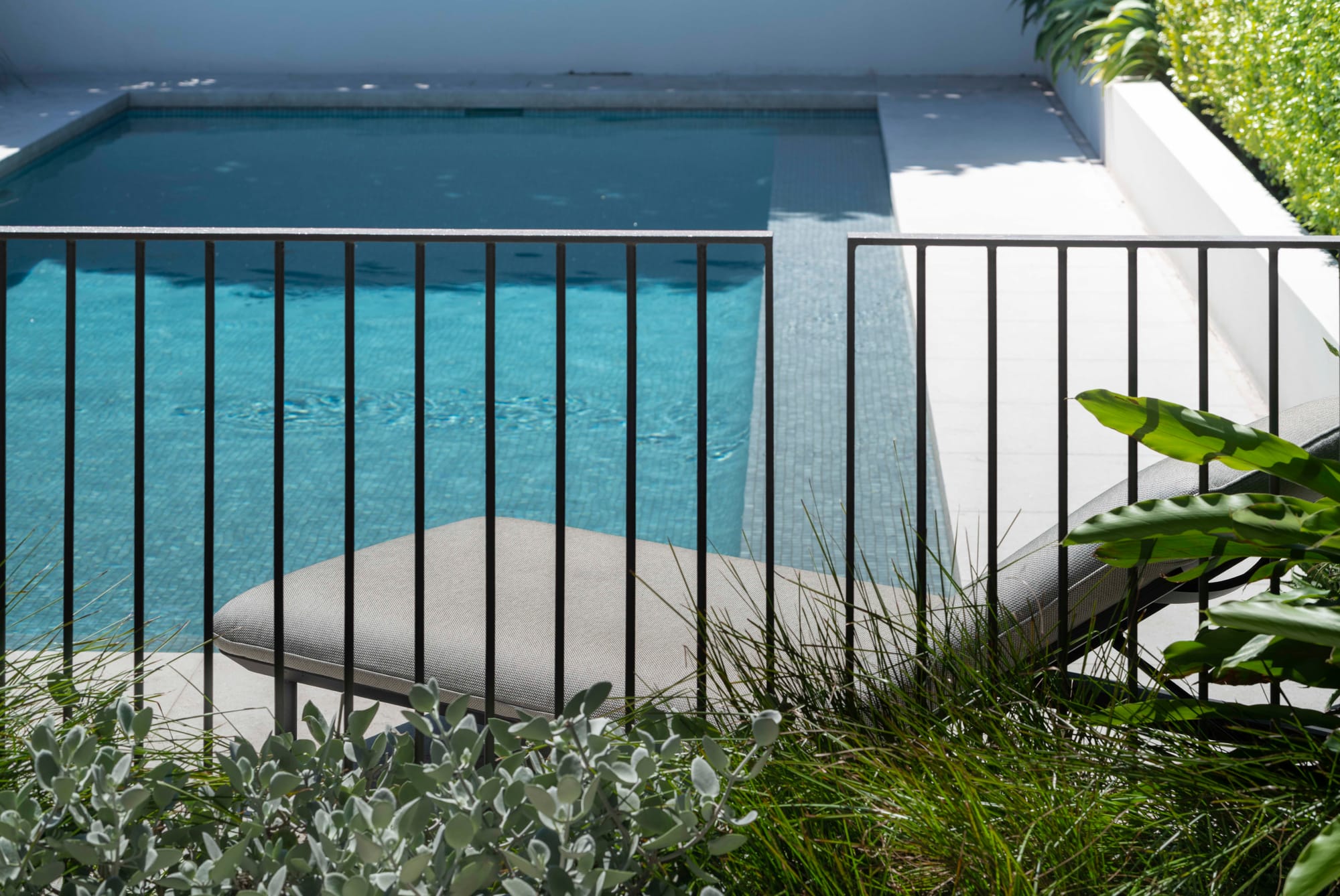 Pool with grey fencing, bushes and grey chaise lounges.
