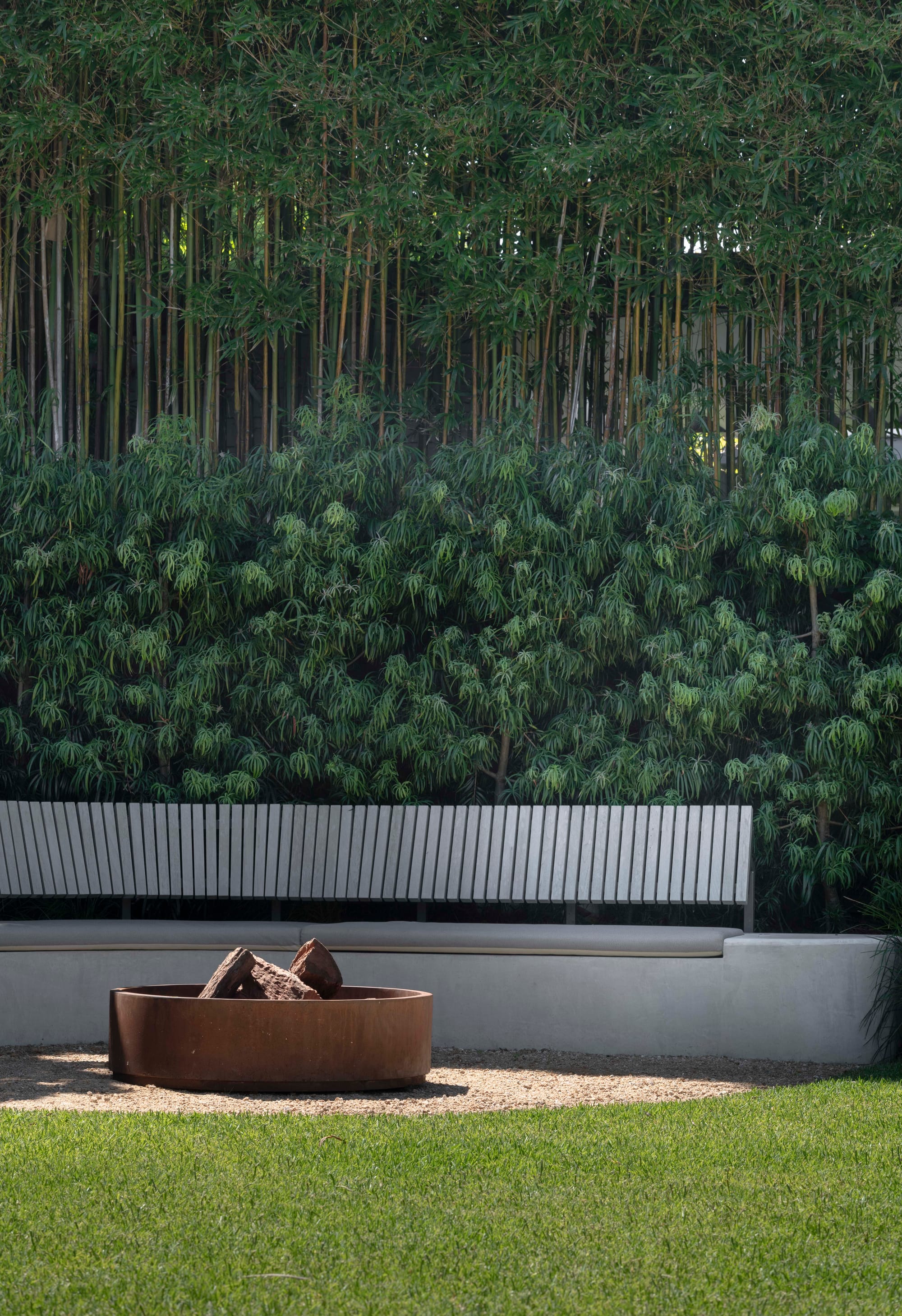 tall bamboo trees and fire pit in backyard. 