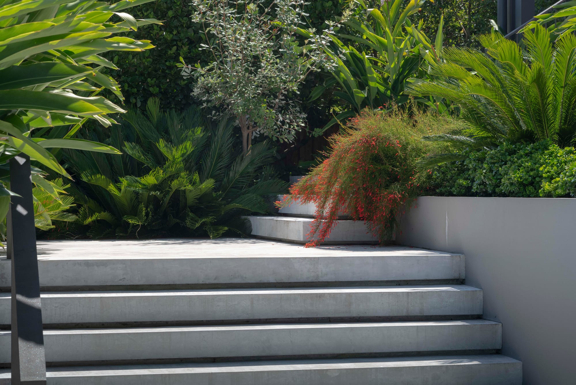 steps with bushes, green plants and red plants.