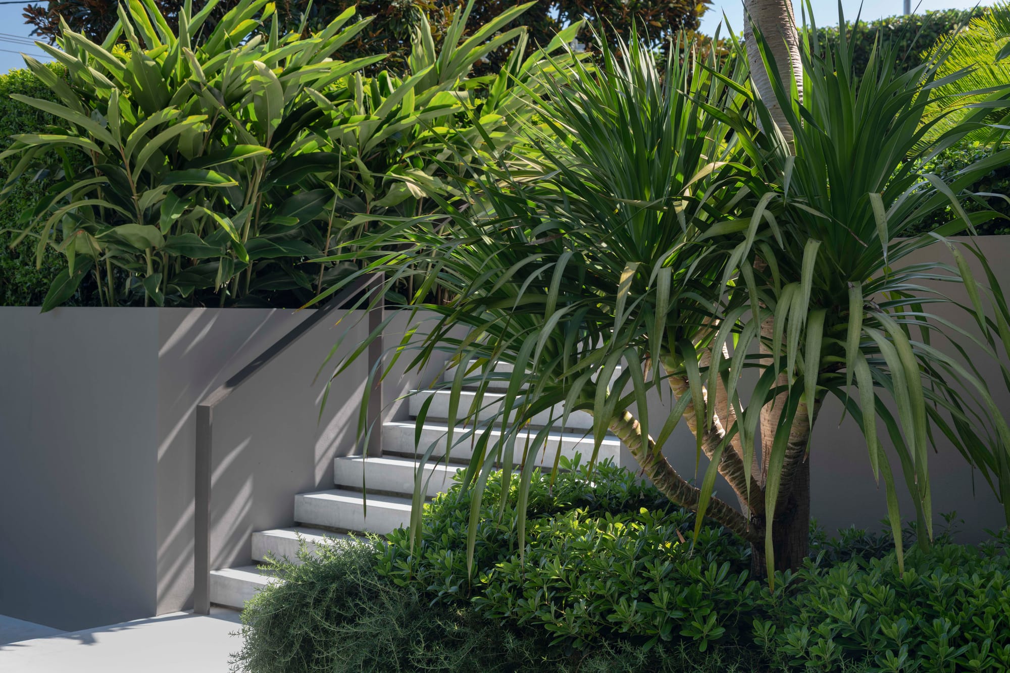 Outdoor staircase and green plants
