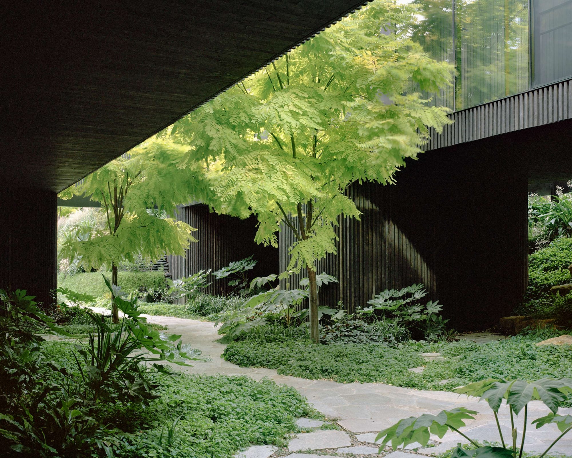 Architect-designed home and garden demonstrating site-responsive design and integration with landscape