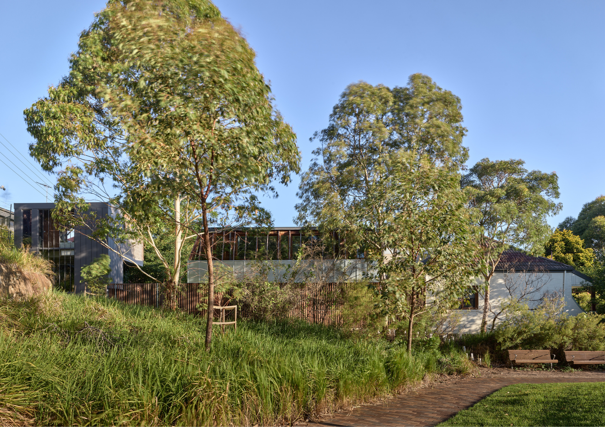 Modern residence partially concealed by native trees and lush landscaping, blending into a park-like suburban setting.