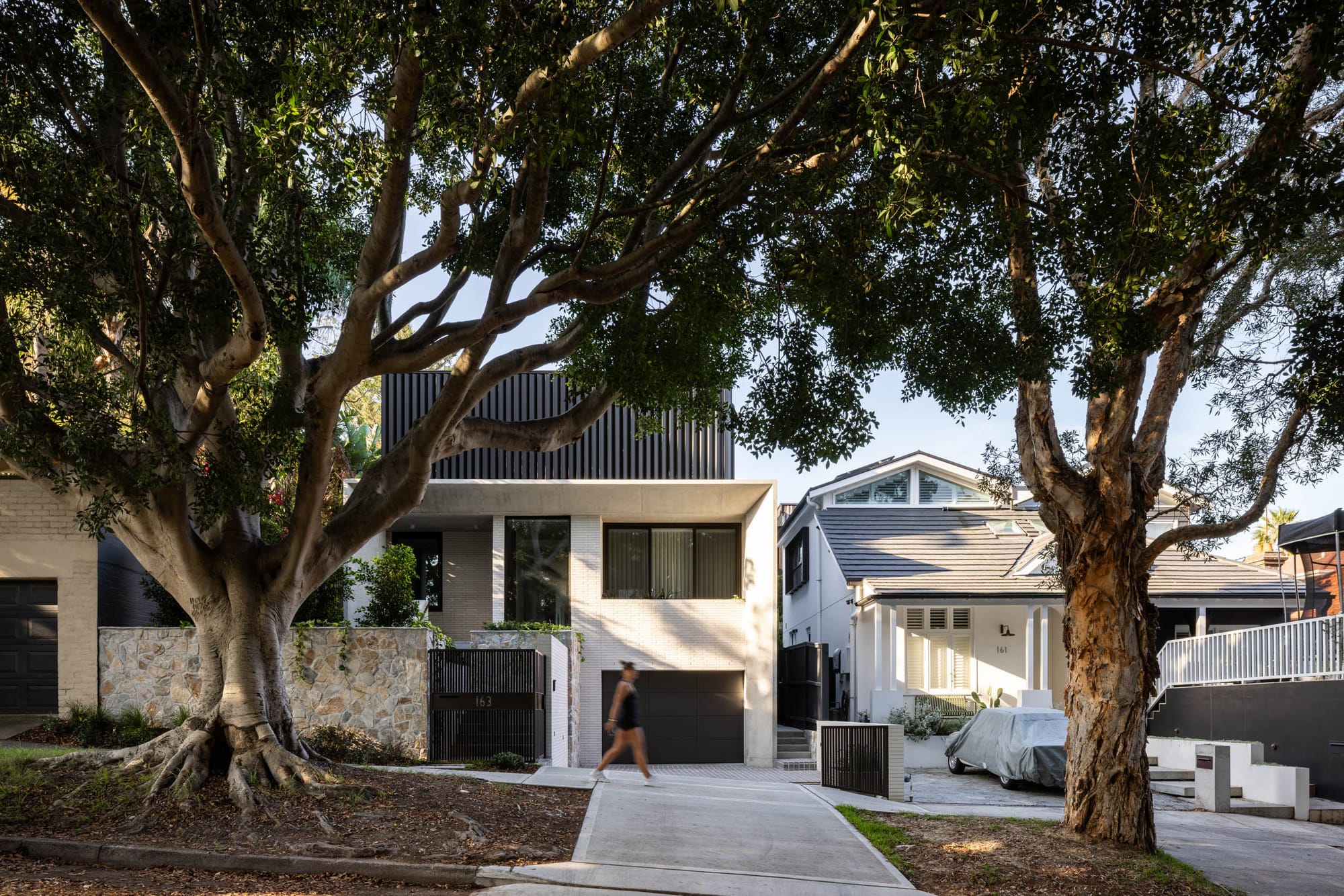Contemporary Bondi home framed by large established trees, featuring pale brickwork, dark cladding and layered geometric forms along a residential street.