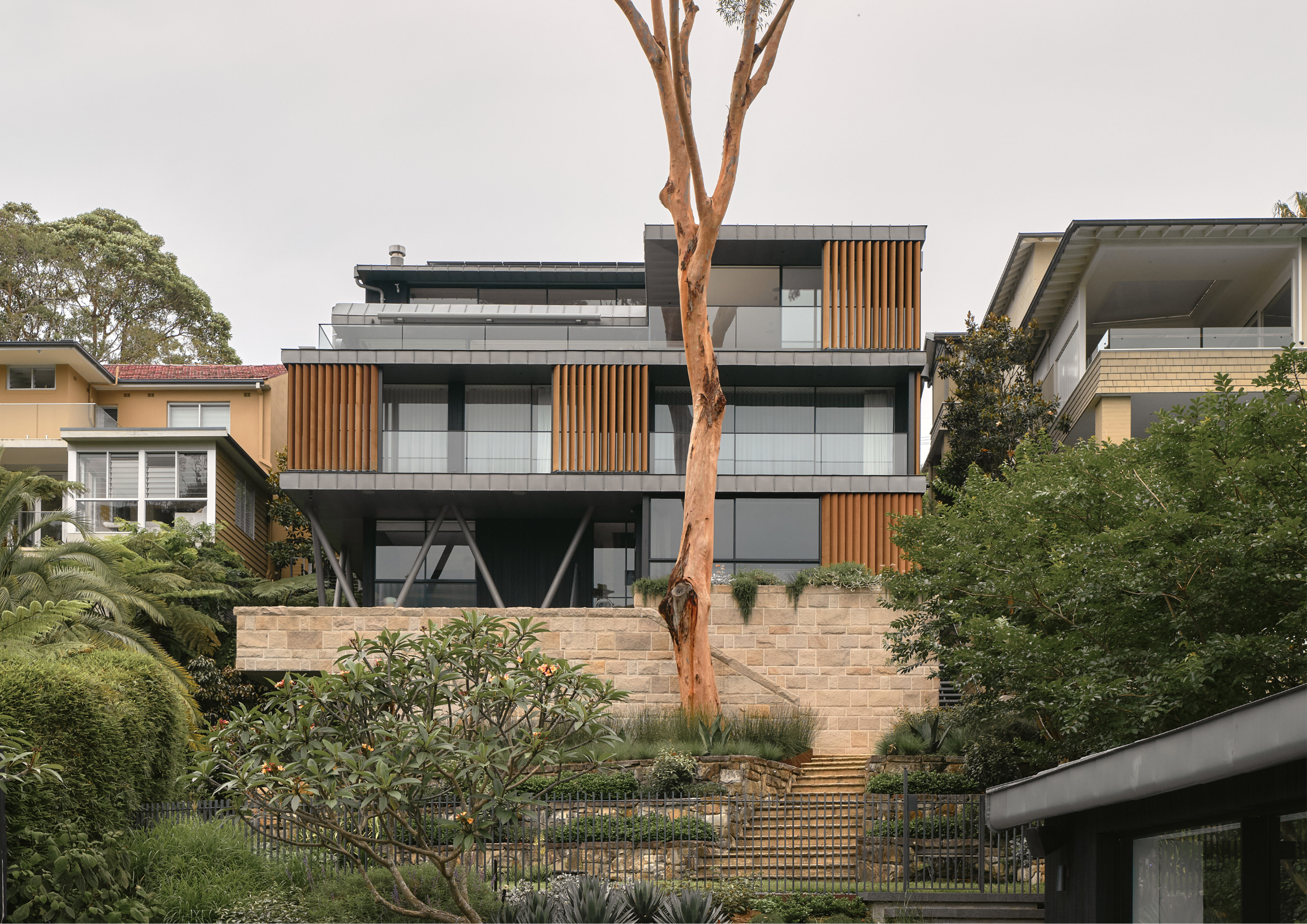 Multi-level contemporary home with timber screening, dark metal detailing, and landscaped terraced gardens centred around a mature tree.