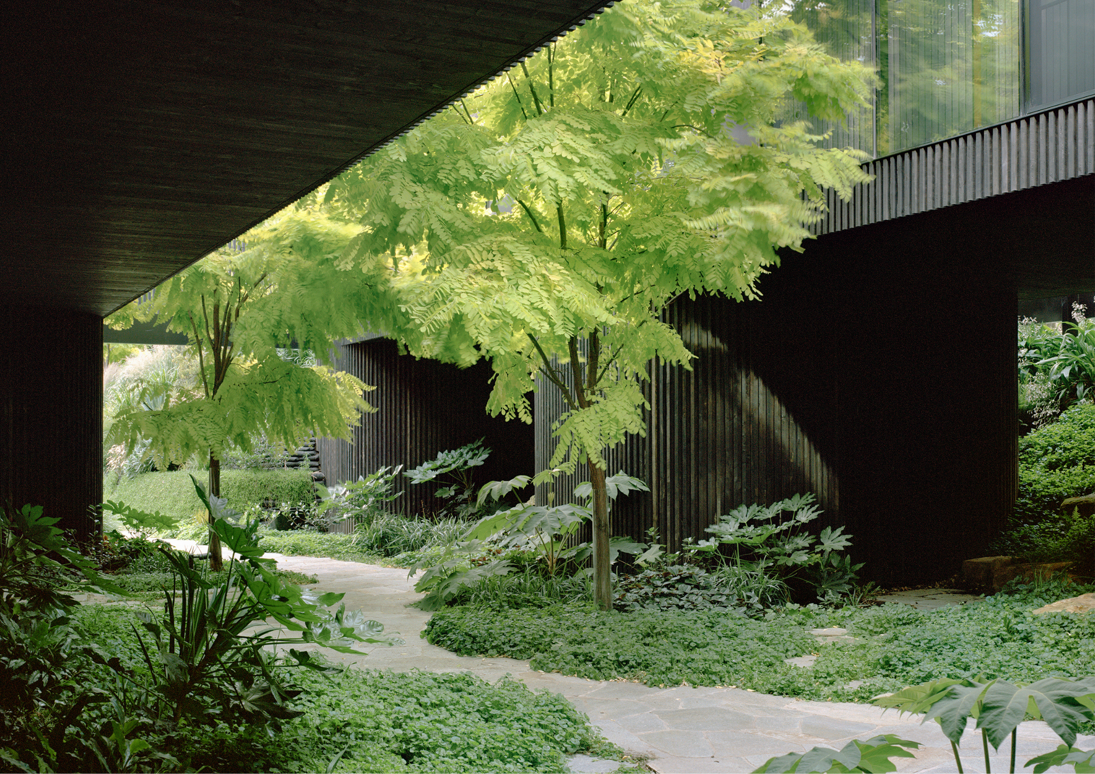 Lush garden courtyard with layered greenery and dark-clad building framing a pathway.