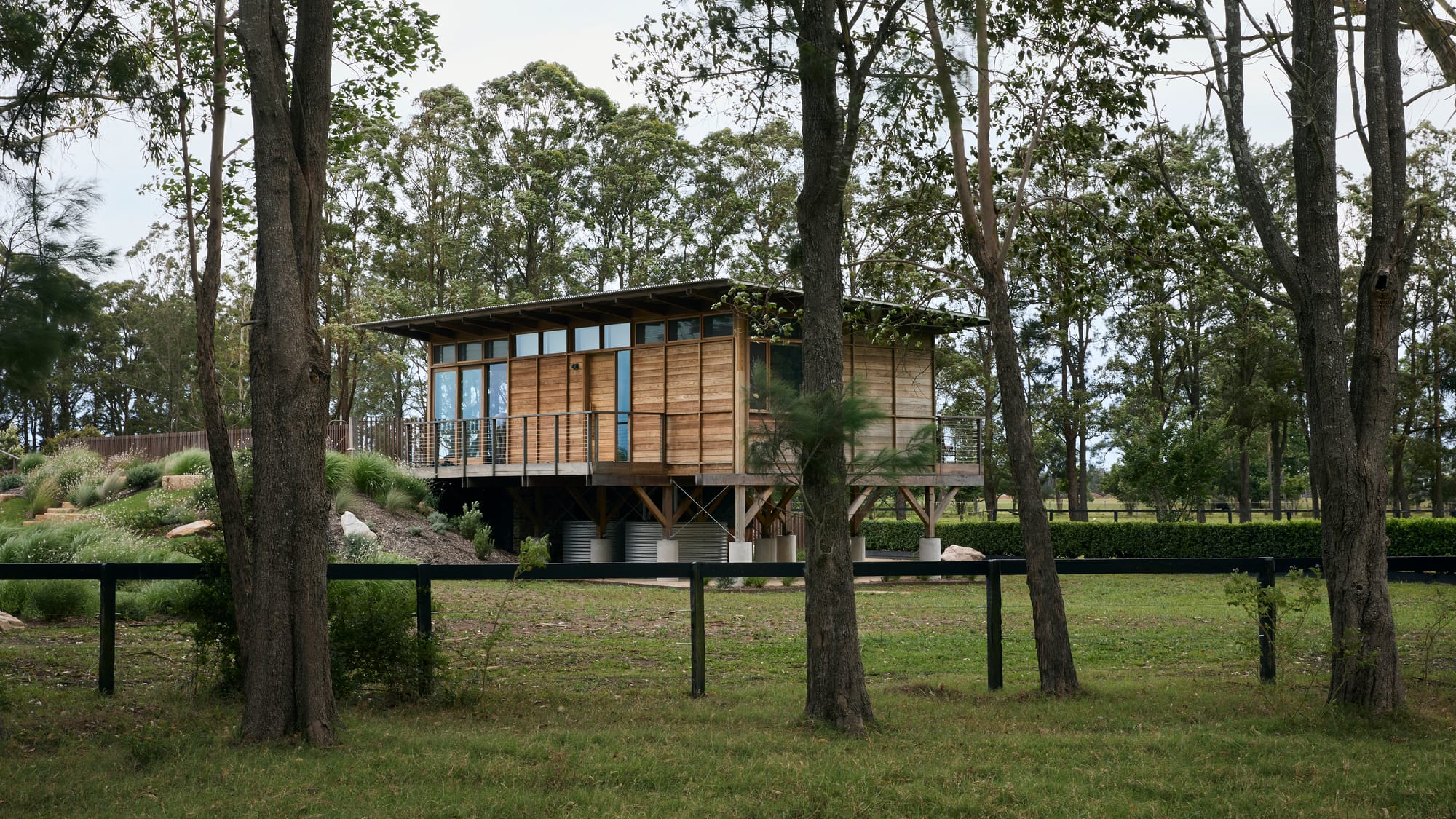 Elevated timber-clad home by Marker Architecture set within a bushland landscape with surrounding native planting.