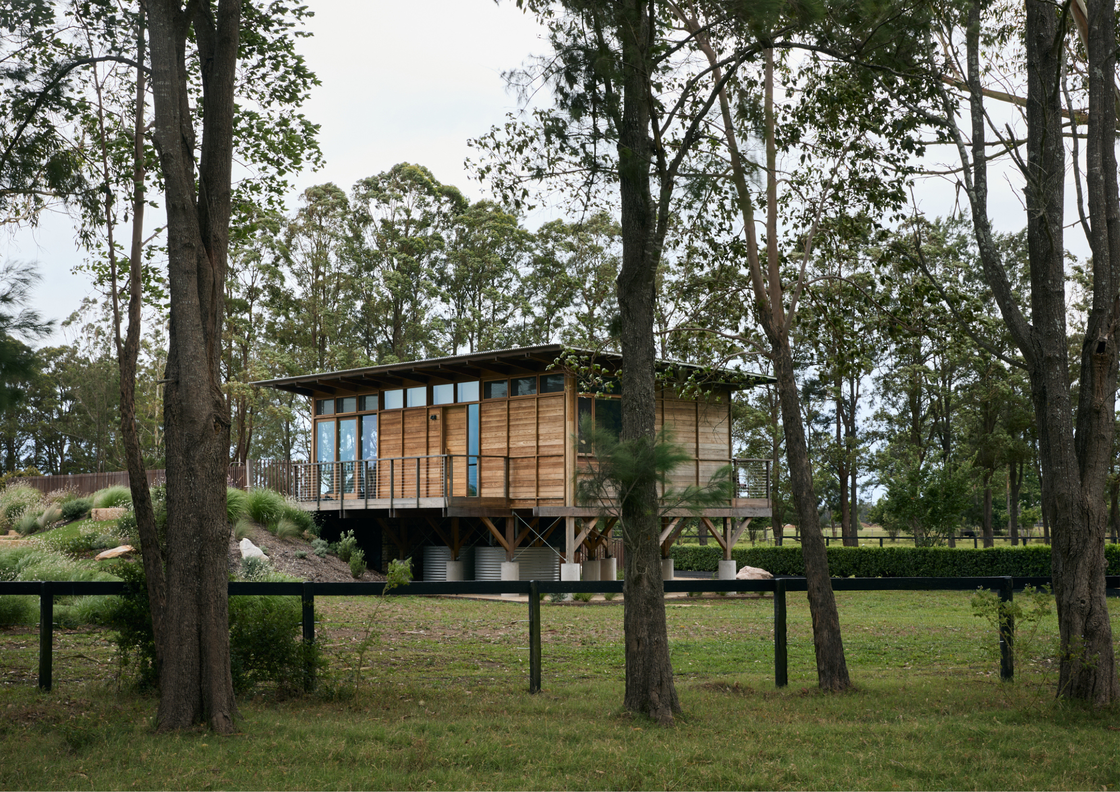 Elevated timber-clad cabin set among tall native trees, featuring expansive glazing, a wraparound deck, and a lightweight structure that blends into the natural bushland landscape.