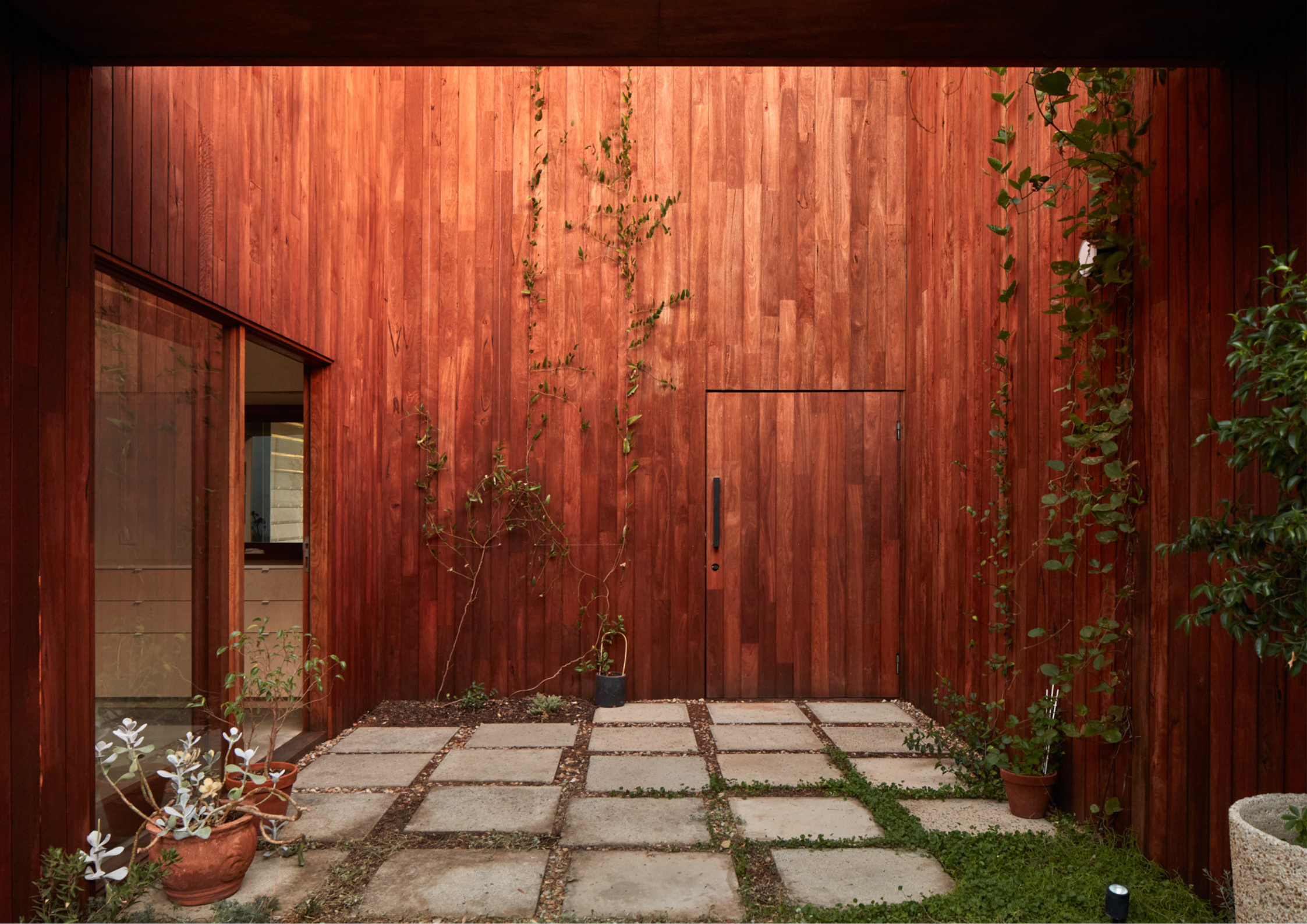 Timber-lined courtyard with climbing greenery, concealed entry door, and stone pavers creating a warm, intimate outdoor space.