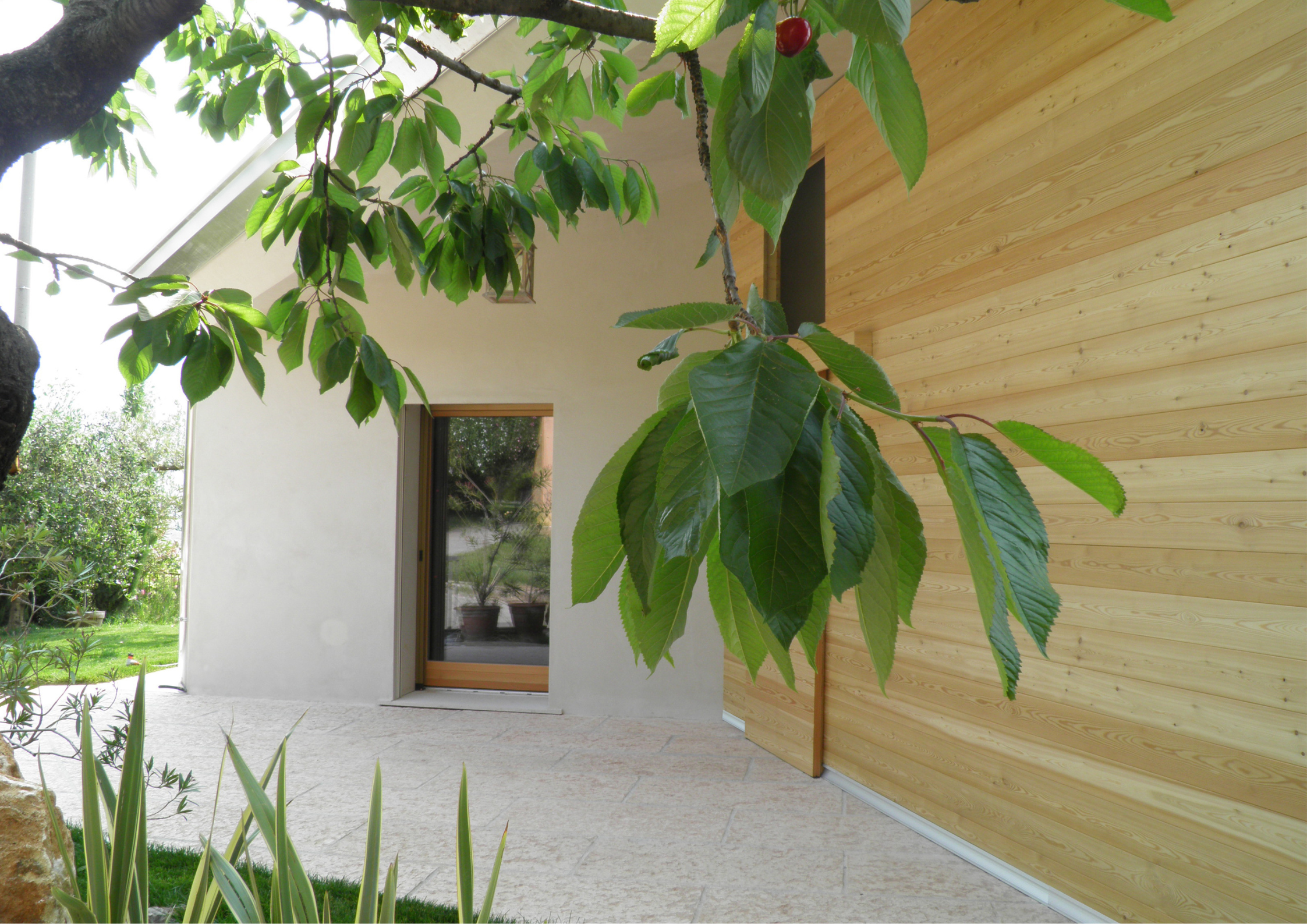 A contemporary home exterior with light timber cladding, white render walls, and leafy branches in the foreground.