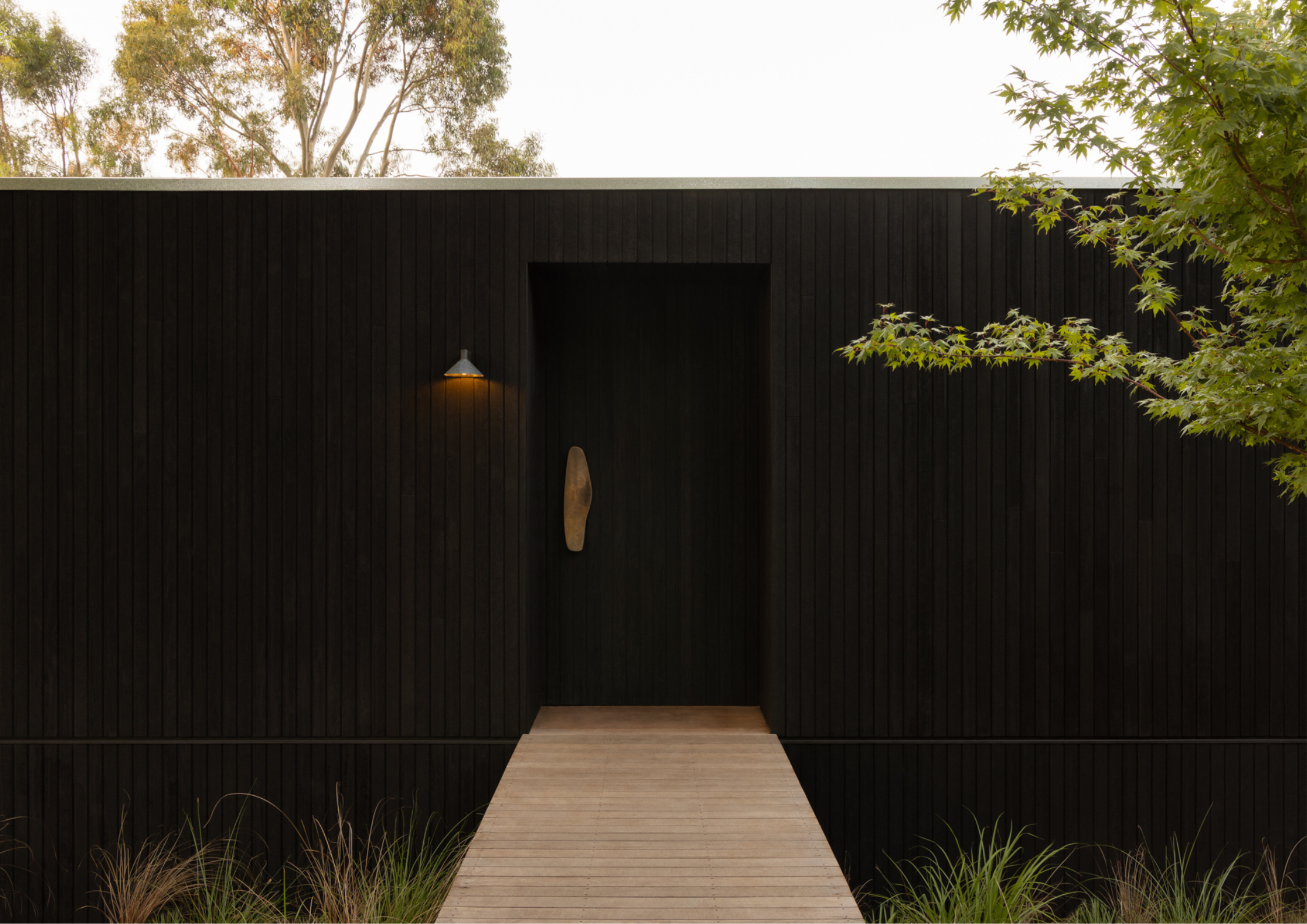 A minimalist black timber-clad house with a recessed entry and narrow pathway framed by greenery.