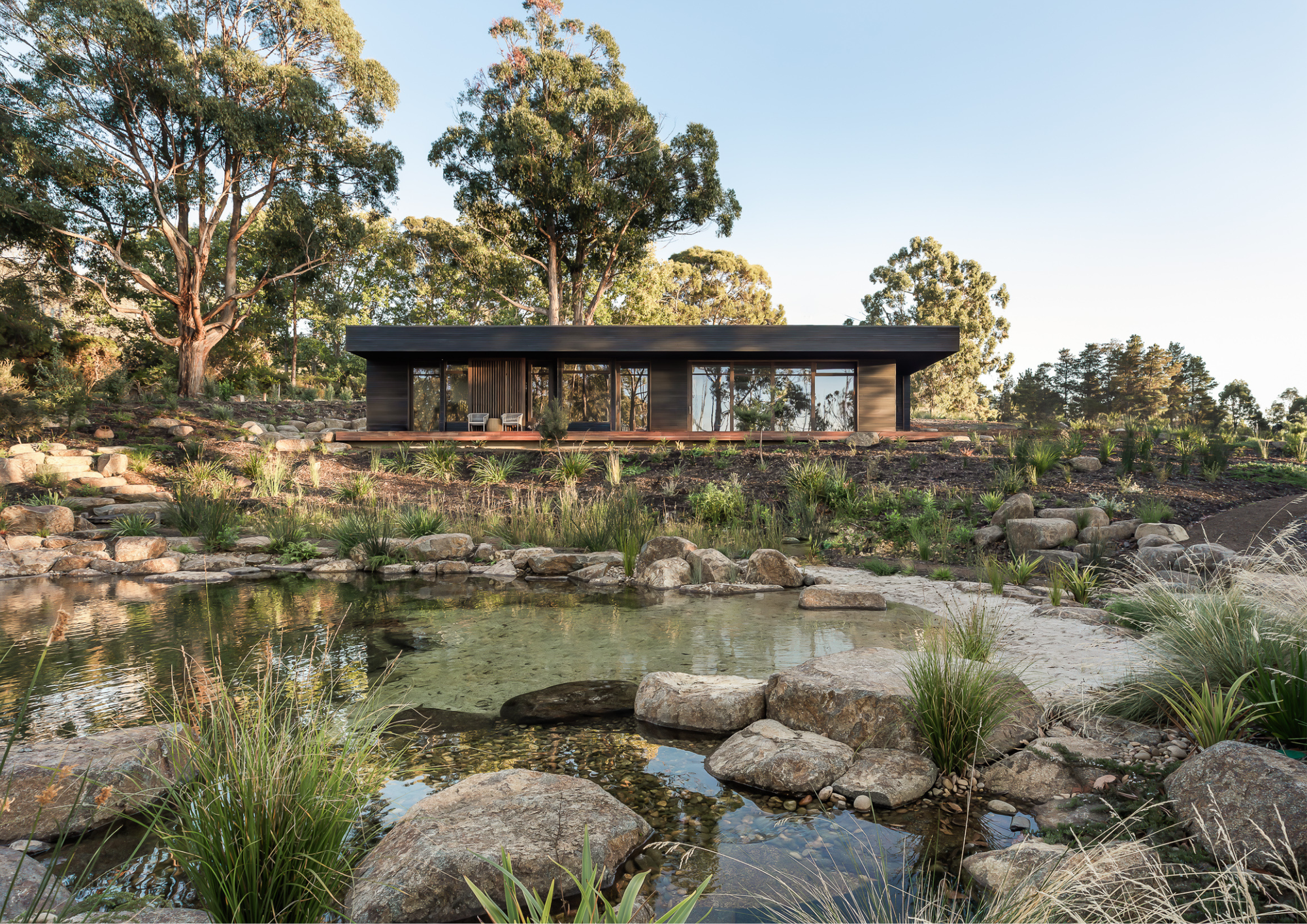 Contemporary pavilion-style retreat overlooking a natural pond, surrounded by native landscaping and mature eucalyptus trees.