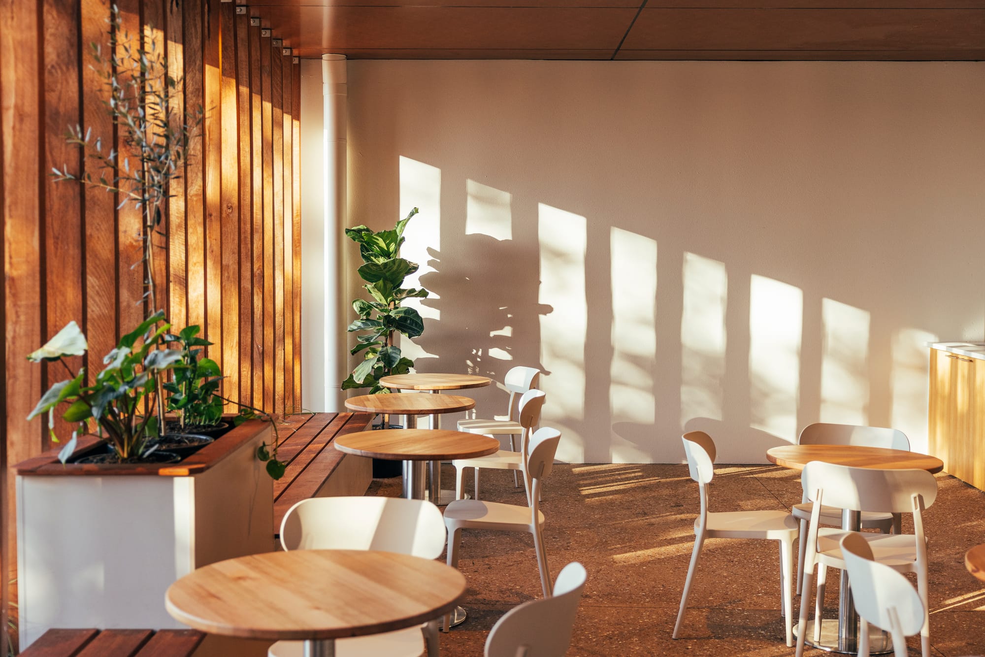 Sun-drenched cafe interior with round timber tables, white chairs, a vertical timber slat feature wall with integrated planting, and warm light casting striped shadows across a white wall.