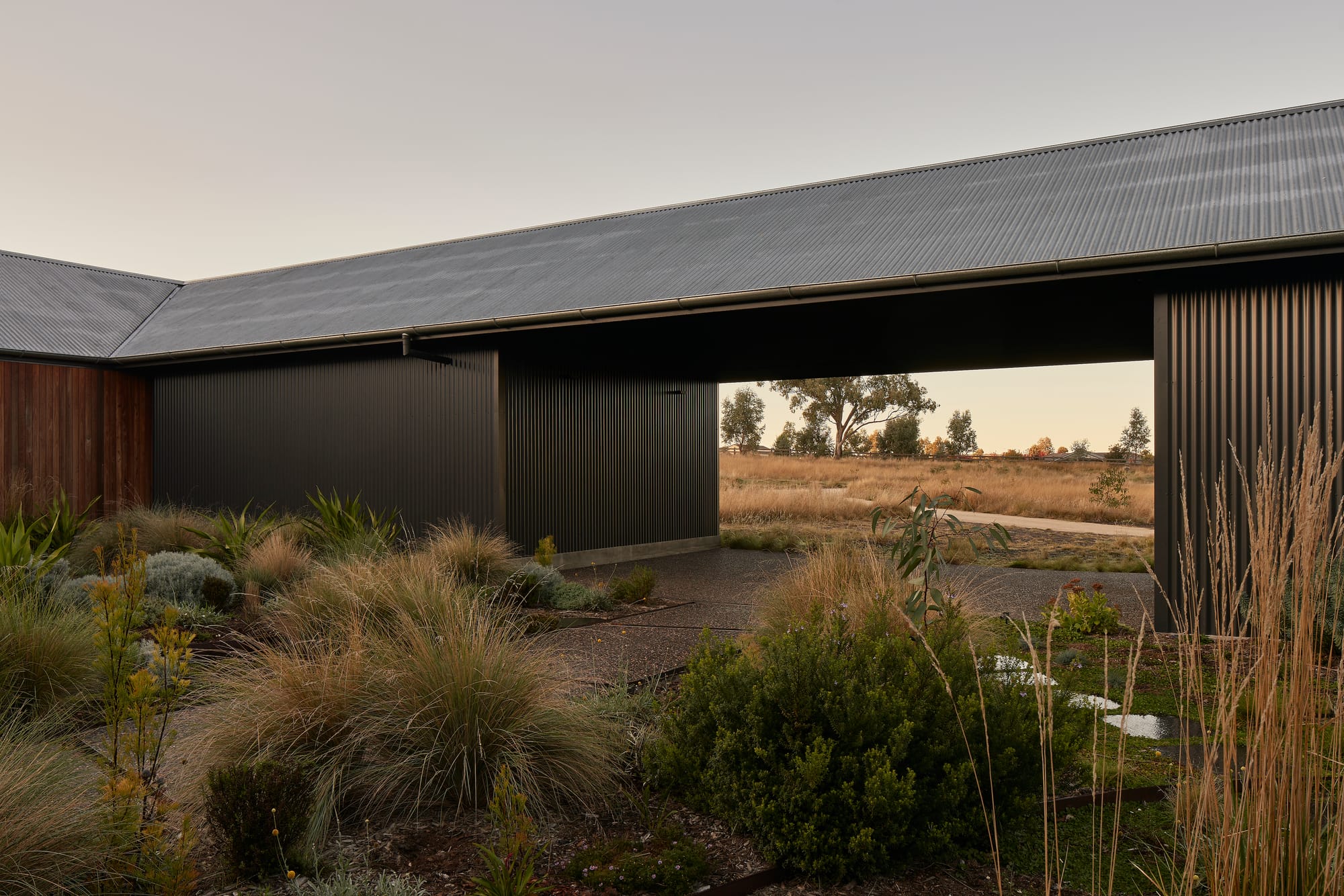 A dark corrugated iron country home with a covered breezeway opening to a native grass garden and open paddock beyond, photographed at dusk with eucalyptus trees visible on the horizon.