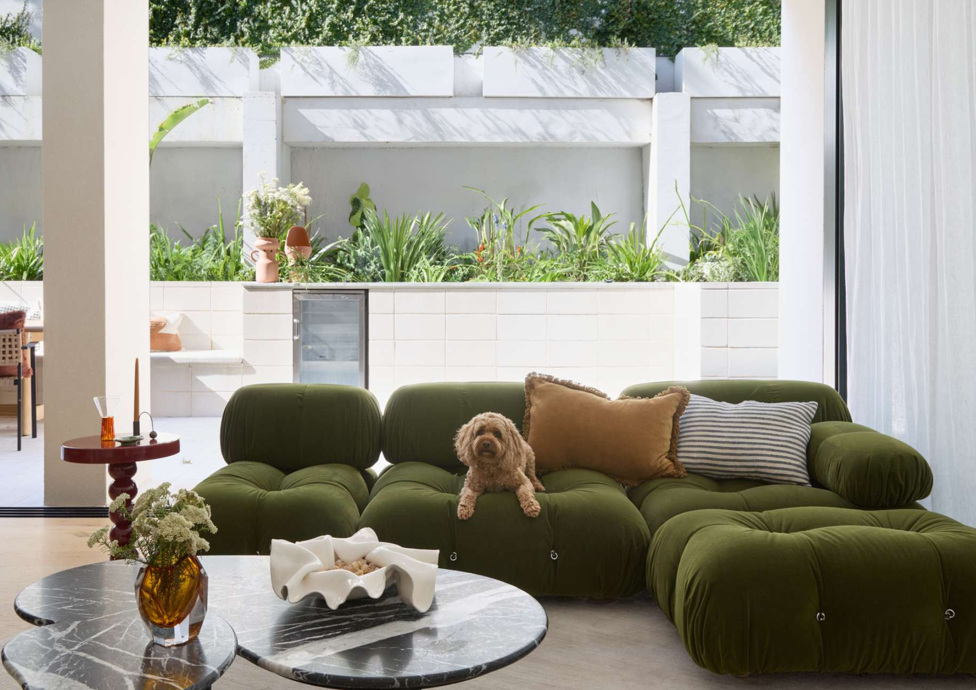 Living area with a curved olive green modular sofa opening onto a tiled courtyard with lush planting and a small dog resting on the cushions in Alto by Mac Design Studio