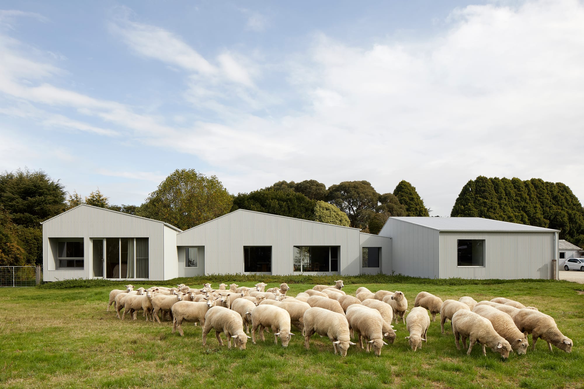 A low-lying country home clad in pale corrugated iron with simple gabled forms, set against a cloudy sky with a flock of sheep grazing on the green paddock in the foreground.