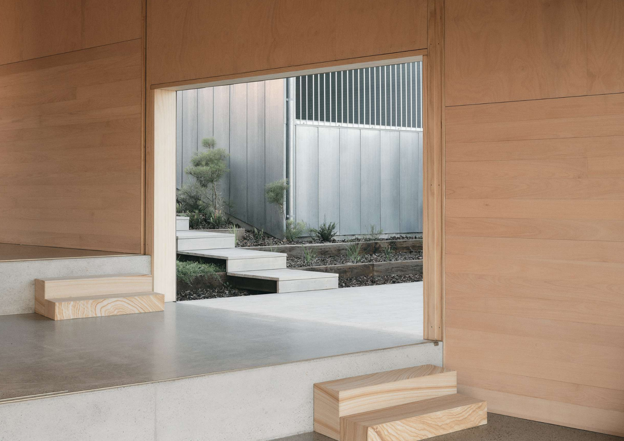 Timber lined interior with a stepped concrete platform opening onto an outdoor stair and native garden beds in Mapleton House by Atelier Chen Hung