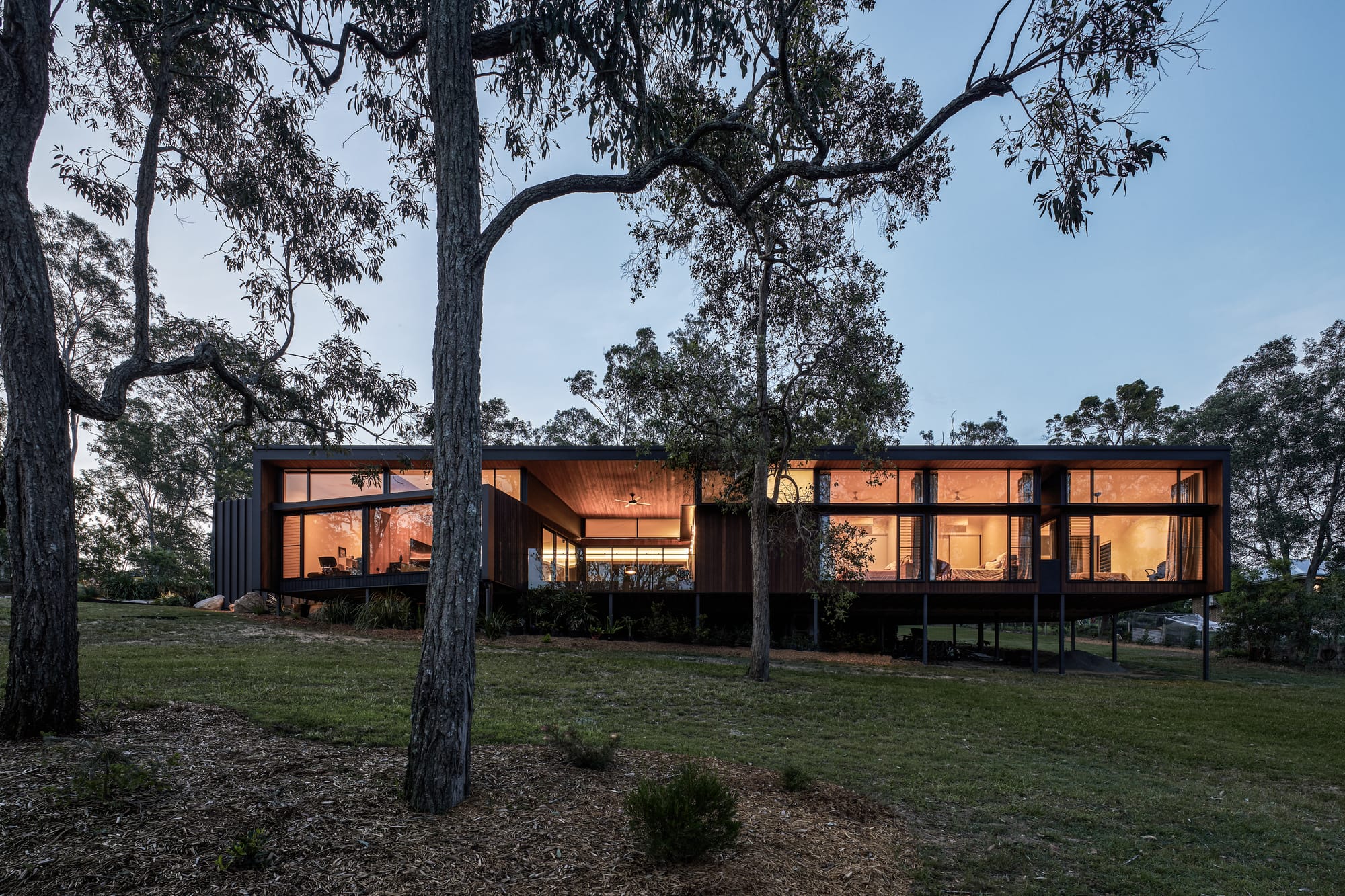 Long contemporary home elevated among mature trees, with warm timber interiors glowing through large windows at dusk.